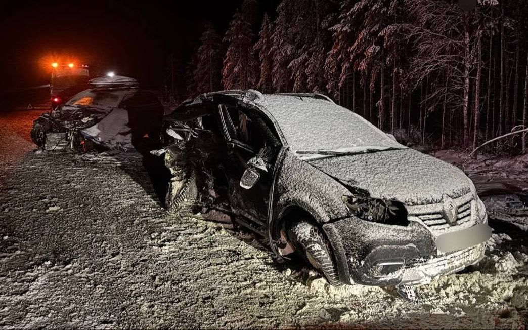 Девушка погибла, четыре человека госпитализированы после ДТП на трассе «Кола» в Карелии