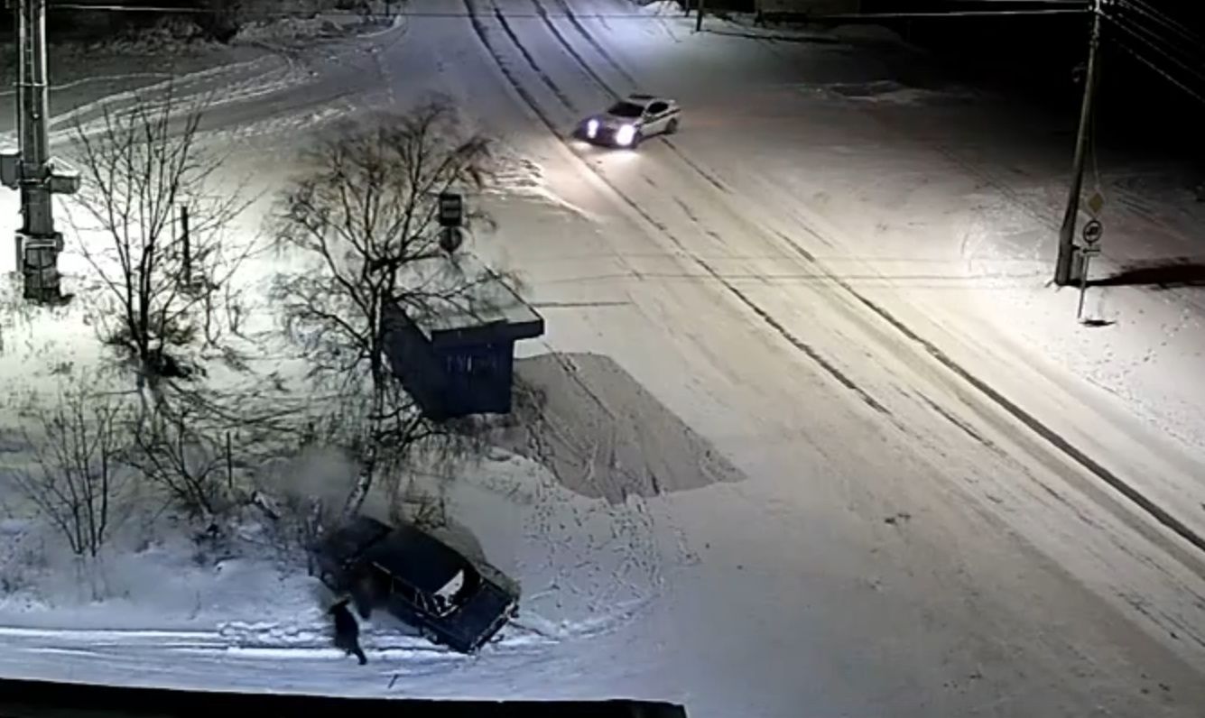 В Карелии водитель на глазах у полиции протаранил дерево и сбежал