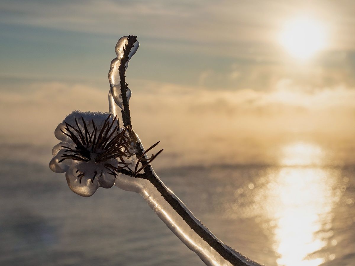 В Карелии похолодало. Надолго ли, рассказали синоптики