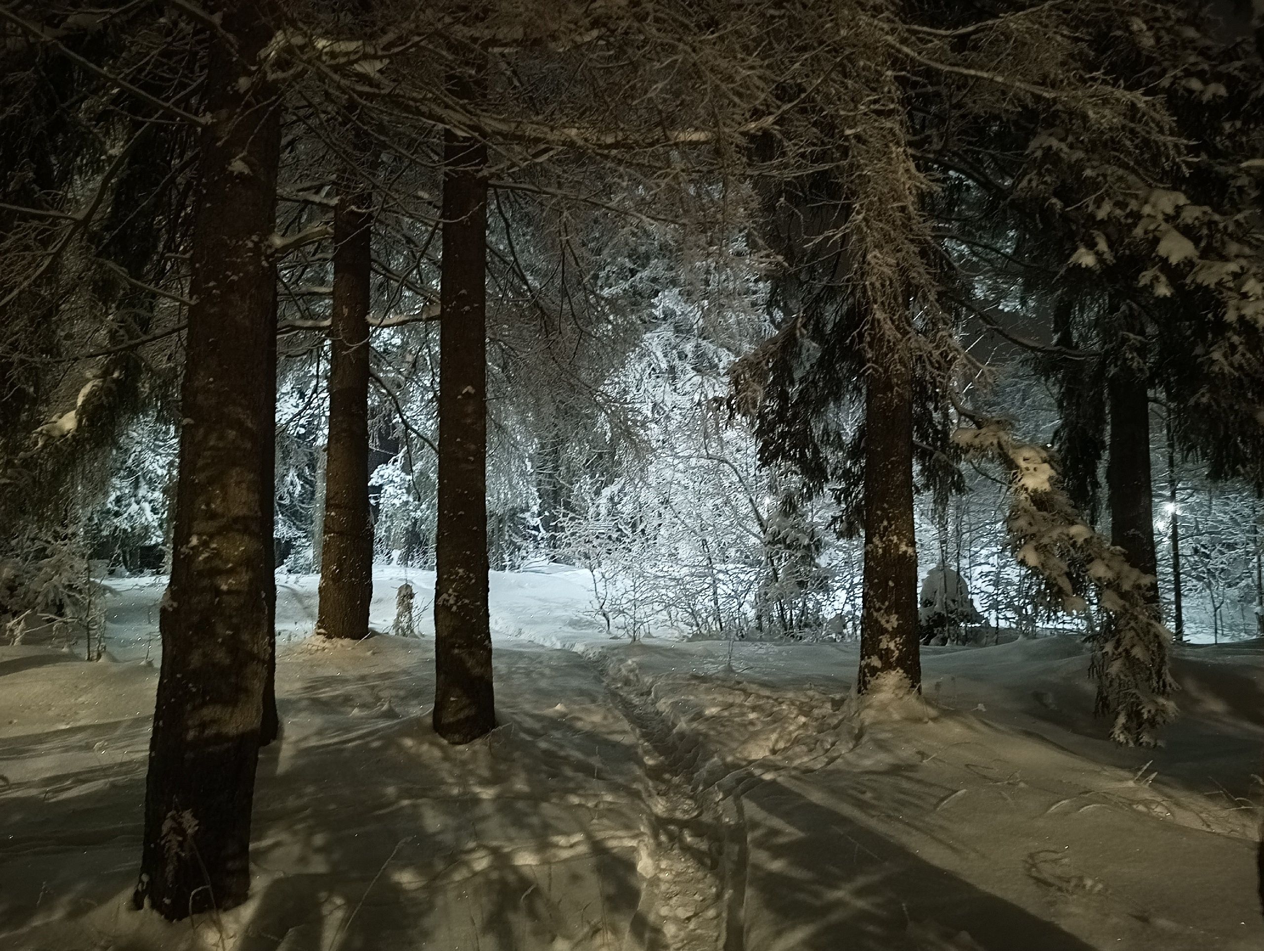 Ночью местами до -22°С. Прогноз погоды на 15 декабря