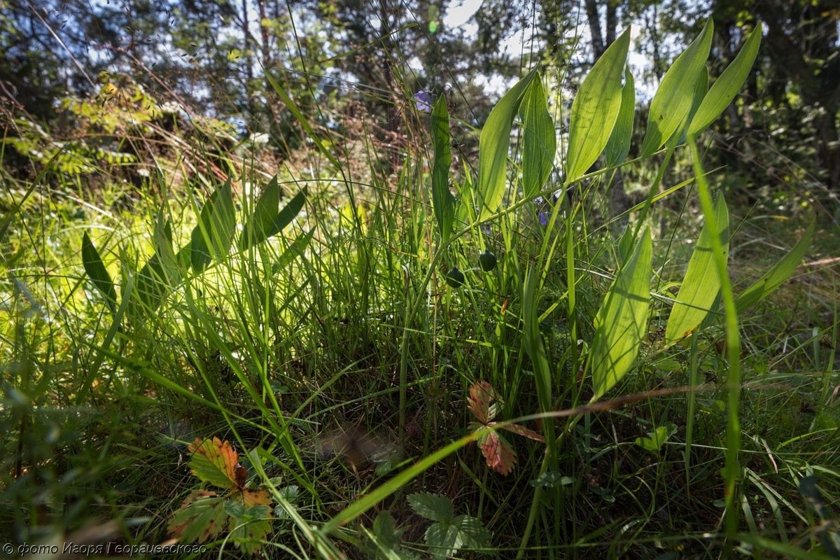 Всемирный день почв отметят лекциями в Музее прикладных экологических исследований