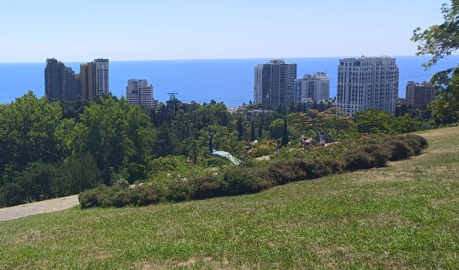 В Сочи утром 11 января произошло несколько землетрясений