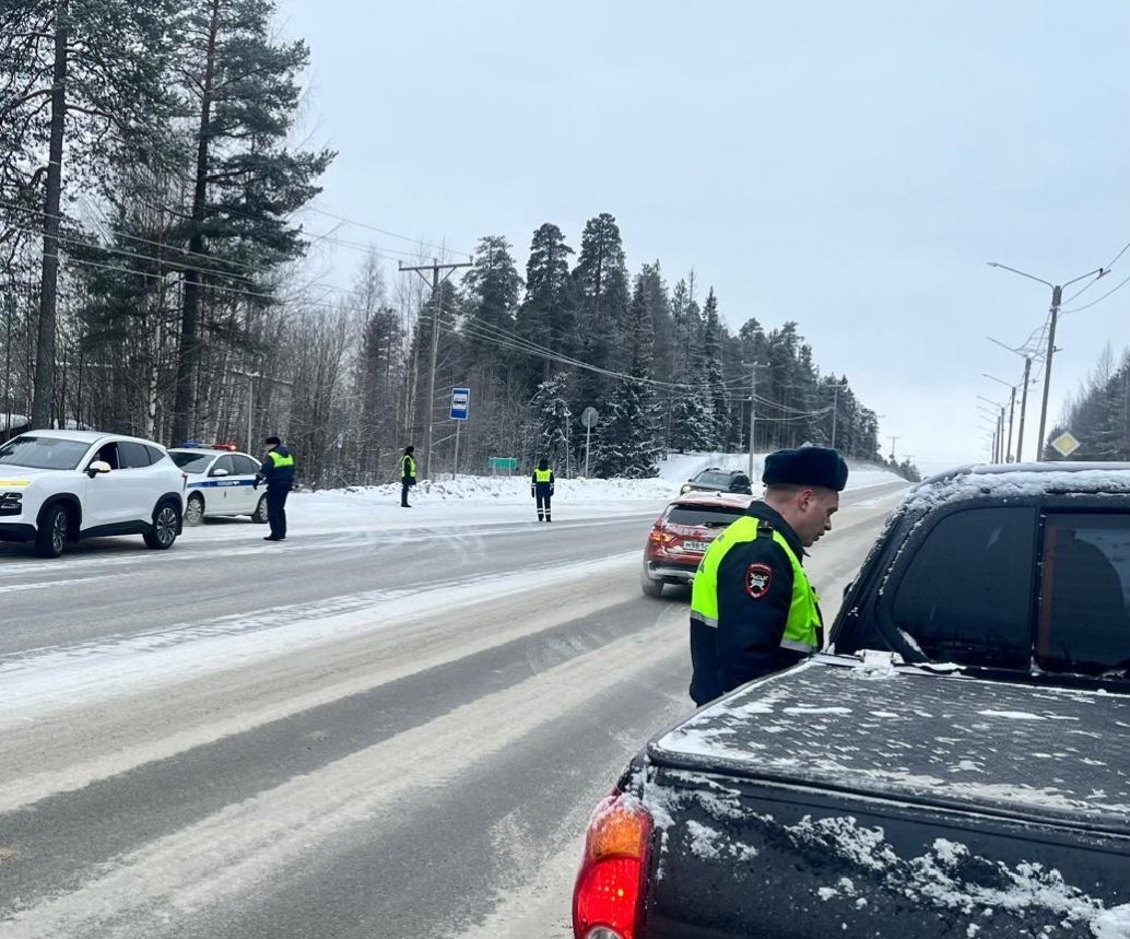 Массовые проверки водителей пройдут в Петрозаводске