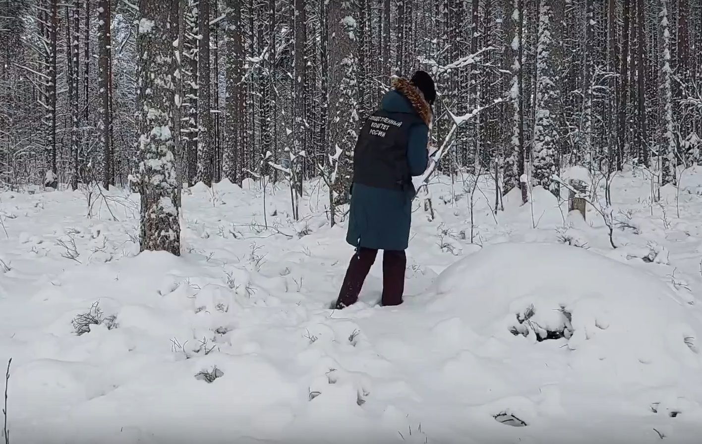 Тело мужчины с колото-резаными ранами обнаружено в лесу в Карелии