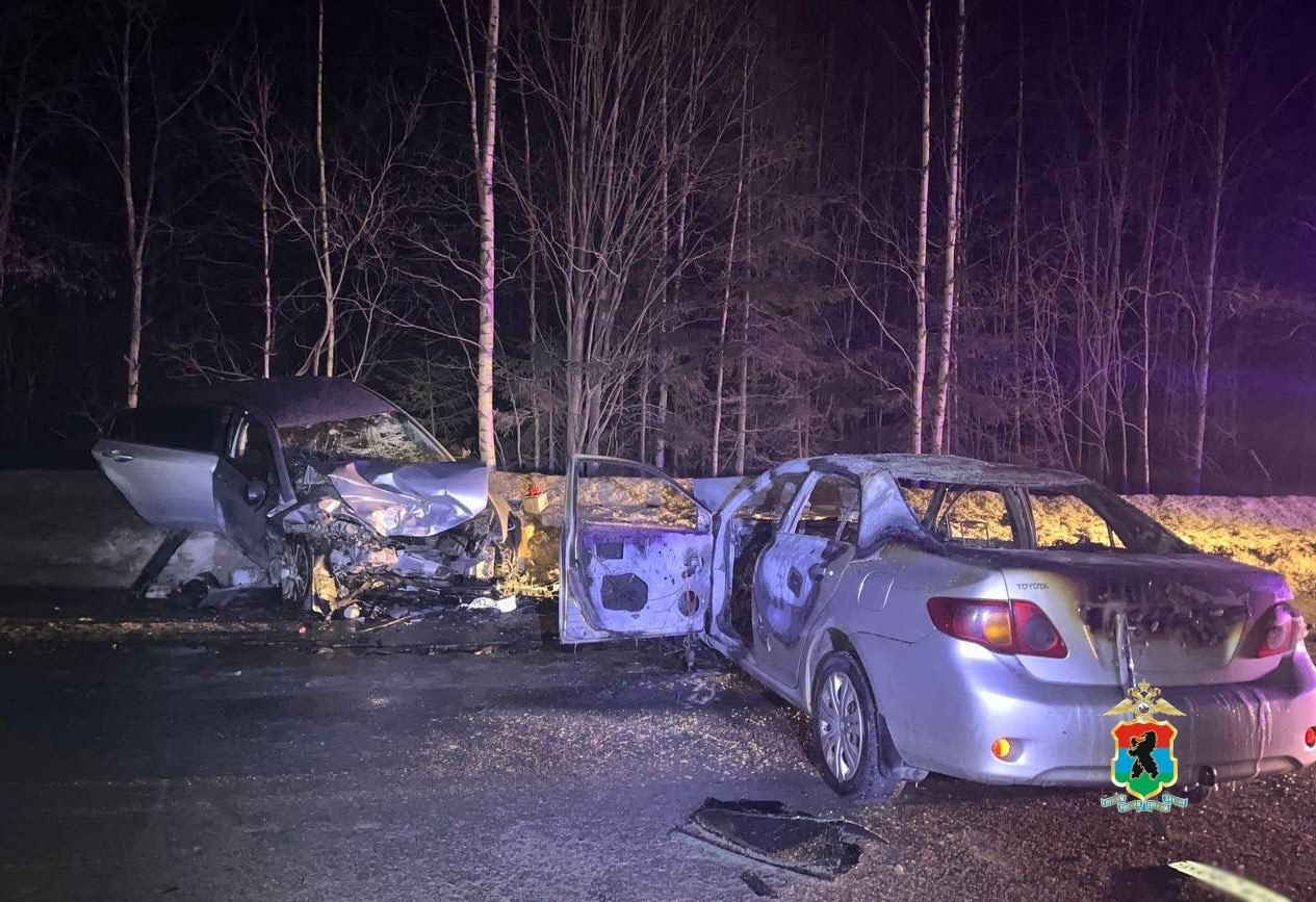 Стали известны подробности аварии под Петрозаводском, где сгорел автомобиль