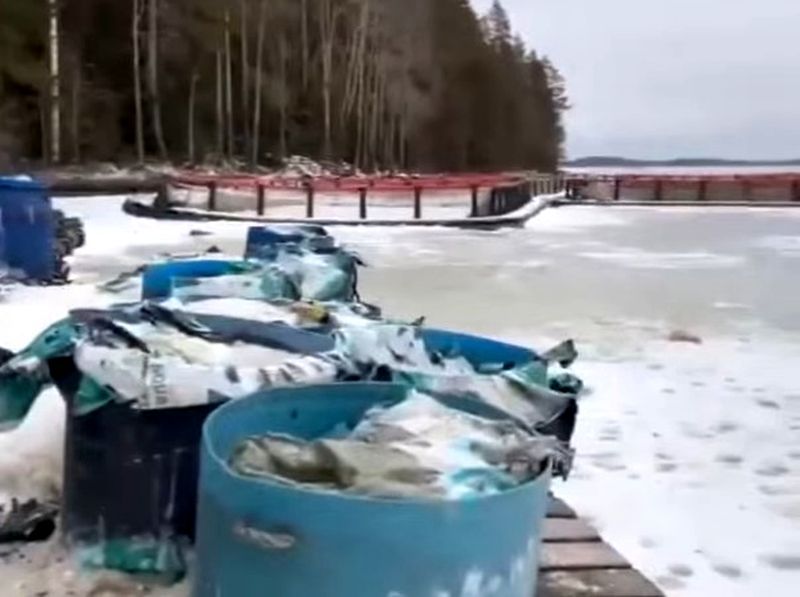 На берегу озера Янисъярви в карельском Приладожье обнаружена свалка тухлой форели