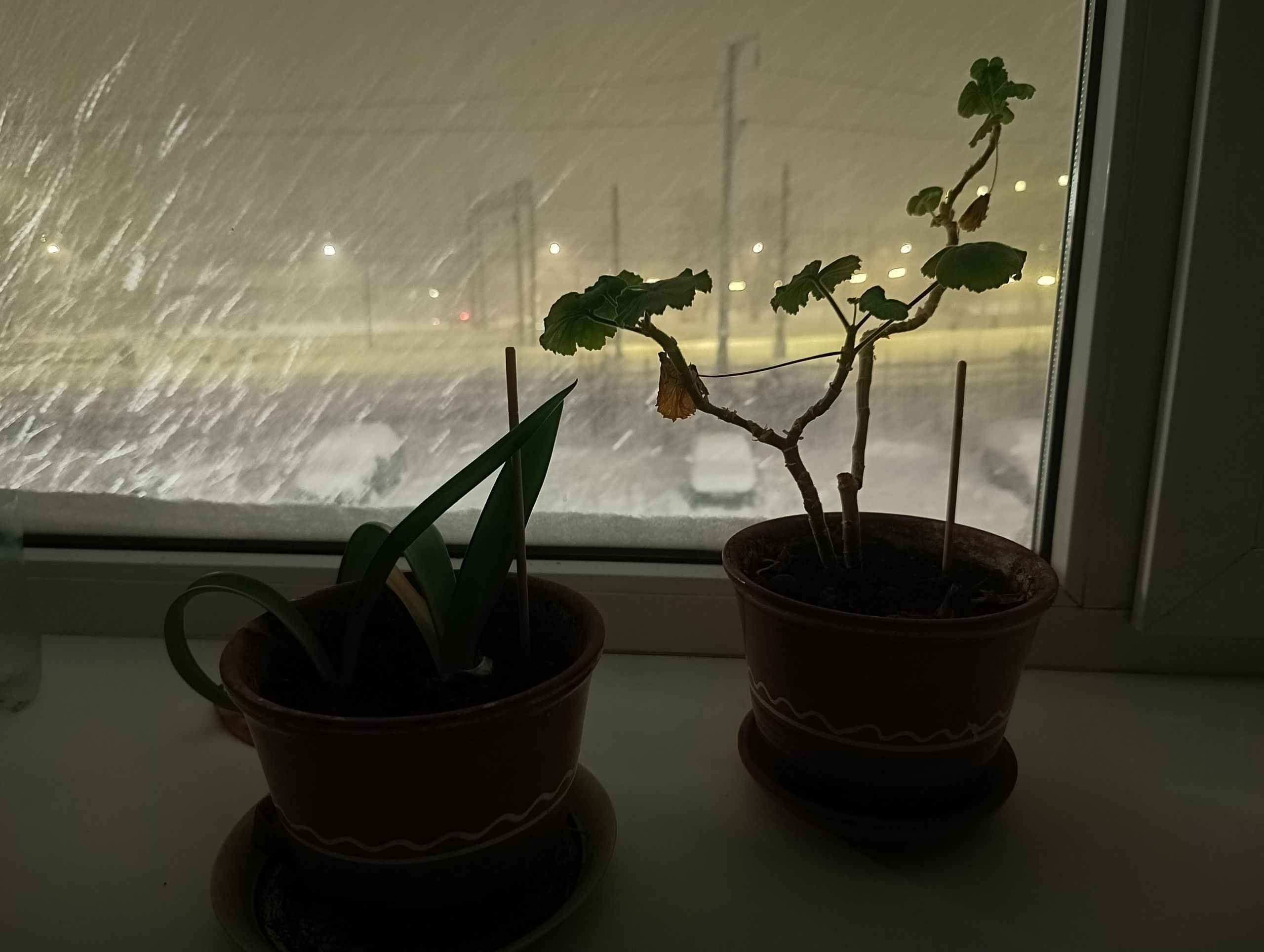 Снег и мороз. Прогноз погоды в Карелии на 22 января