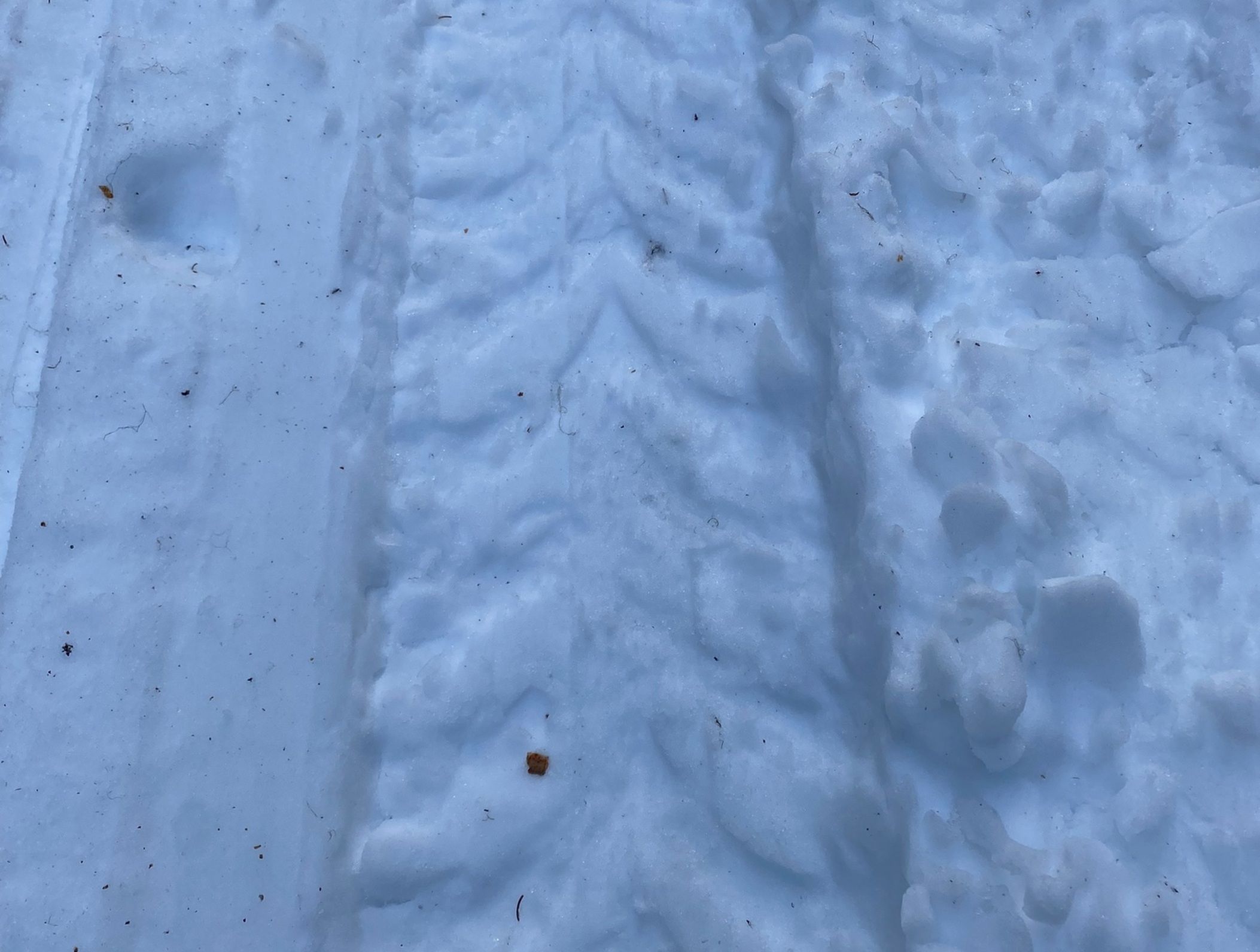 Лыжную трассу \