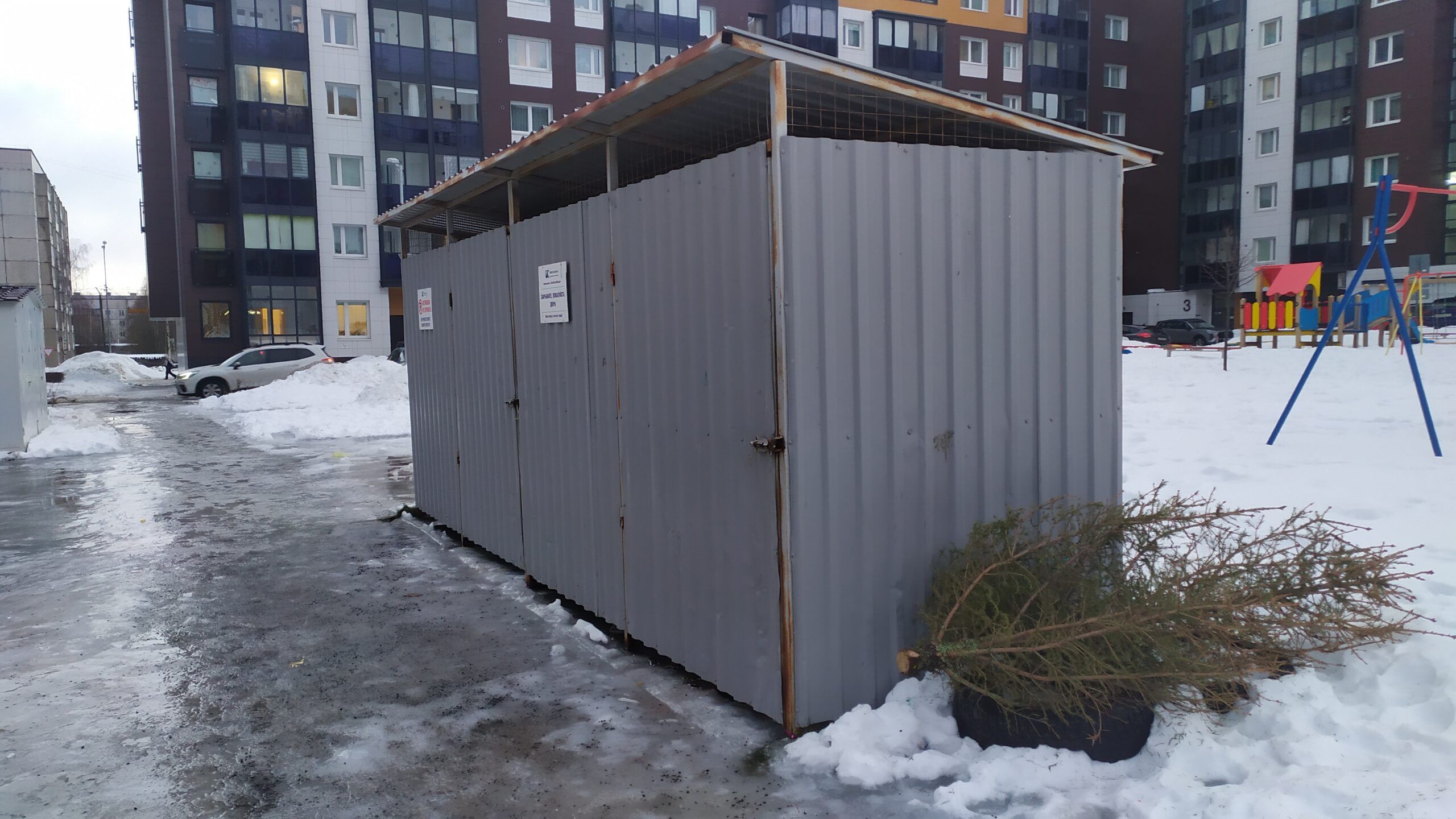 Эксперты рассказали, как утилизировать елку после праздников