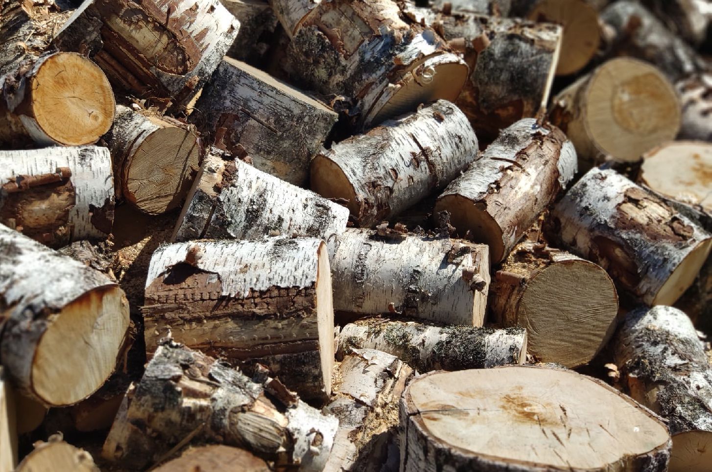 Работник «КарелКоммунЭнерго» получил тяжелые травмы во время распиловки