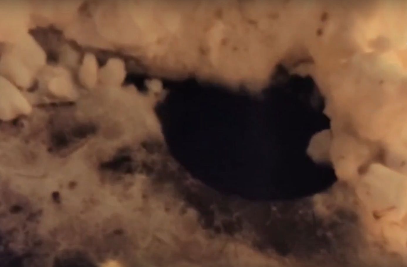 Падением ребенка в открытый колодец заинтересовался Следком Карелии