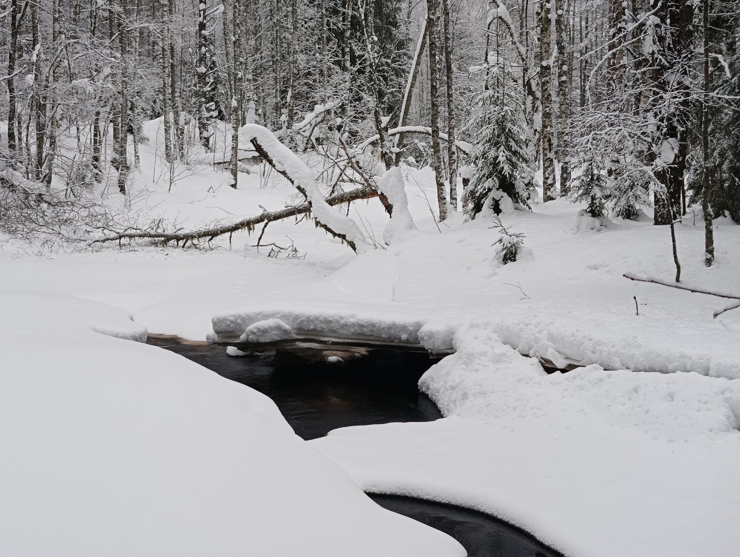 Следком выясняет обстоятельства смерти мужчины в Медвежьегорском районе