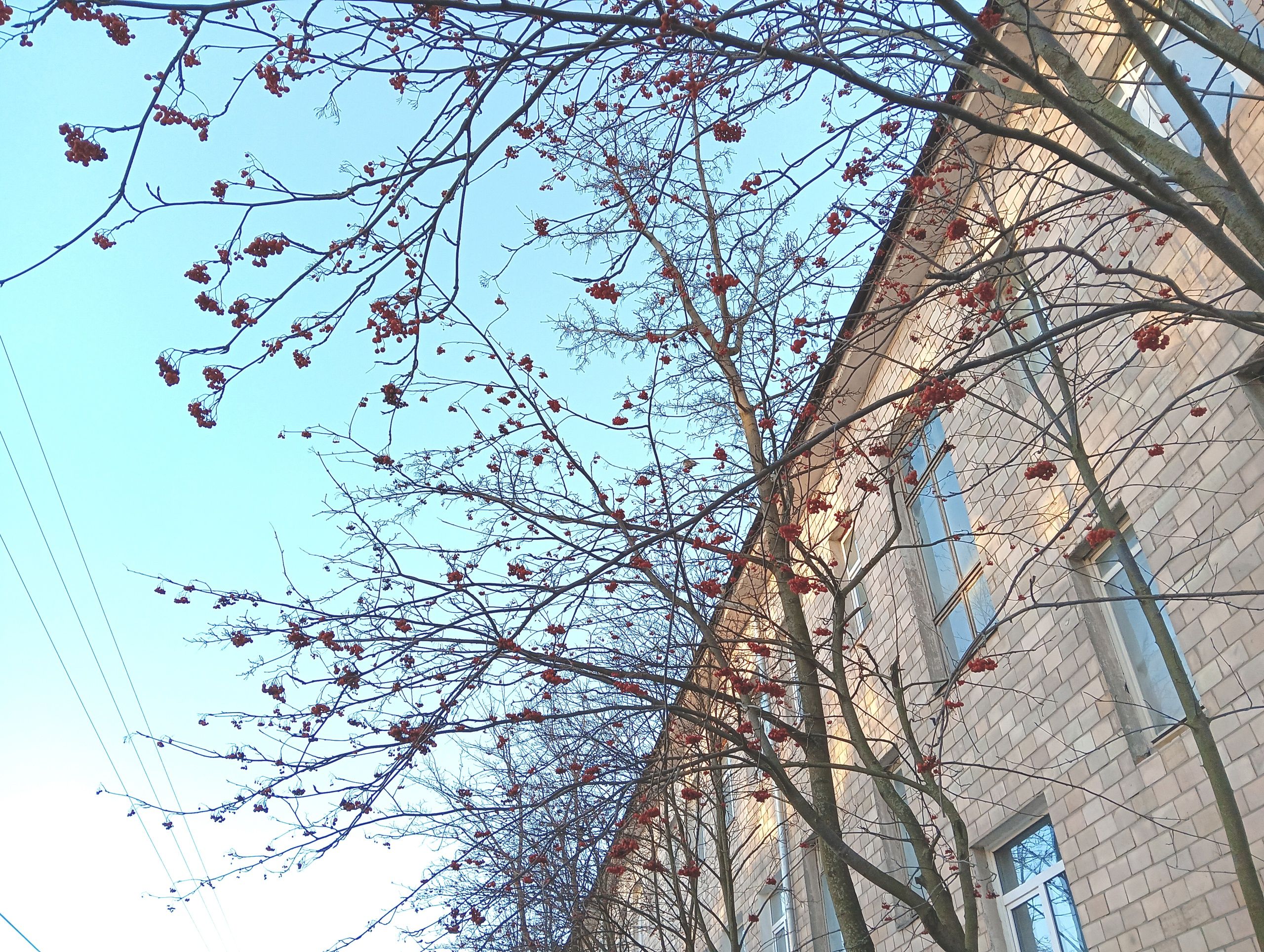 В Петрозаводске создадут \ В Петрозаводске создадут \