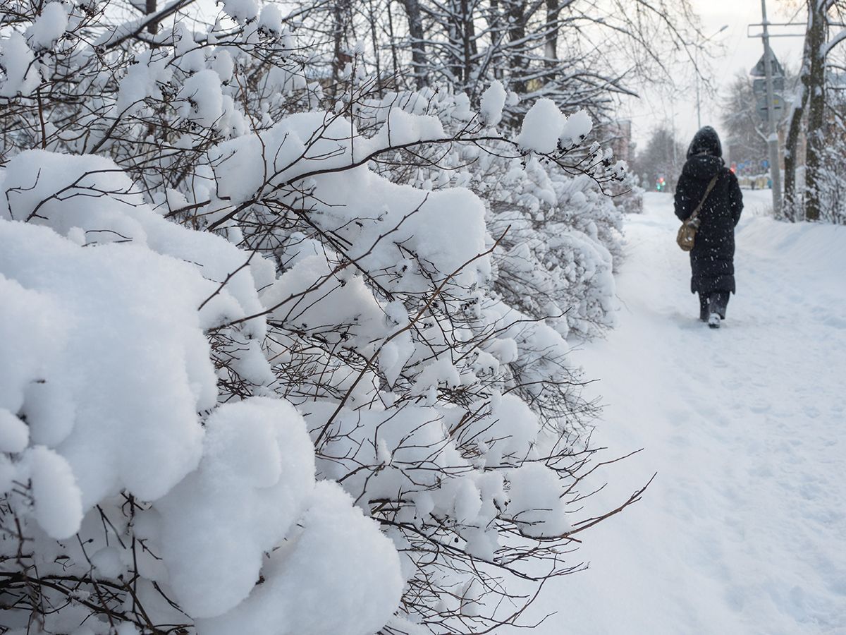 В последний день новогодних каникул в Карелии будет снежно