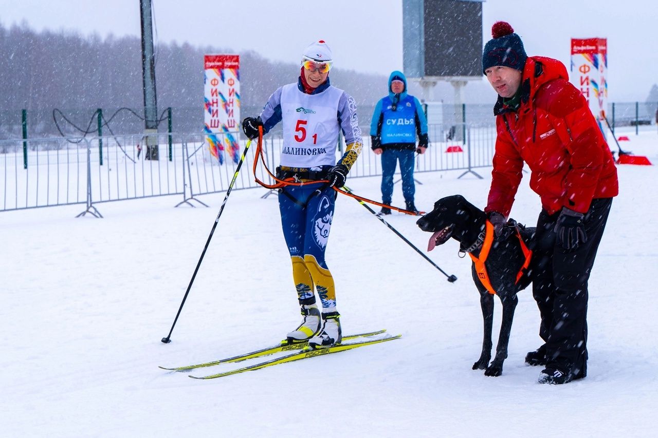 Спортсменка из Карелии и собака по кличке Блиц победили на Чемпионате СЗФО по ездовому спорту