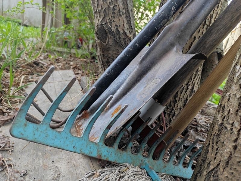 На старые грабли. Как в очередной раз в Карелии турбизнес с местными жителями сцепился и кто в этом виноват