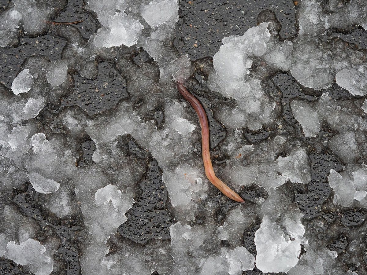 Мокрый снег и дождь. Прогноз погоды на 29 января