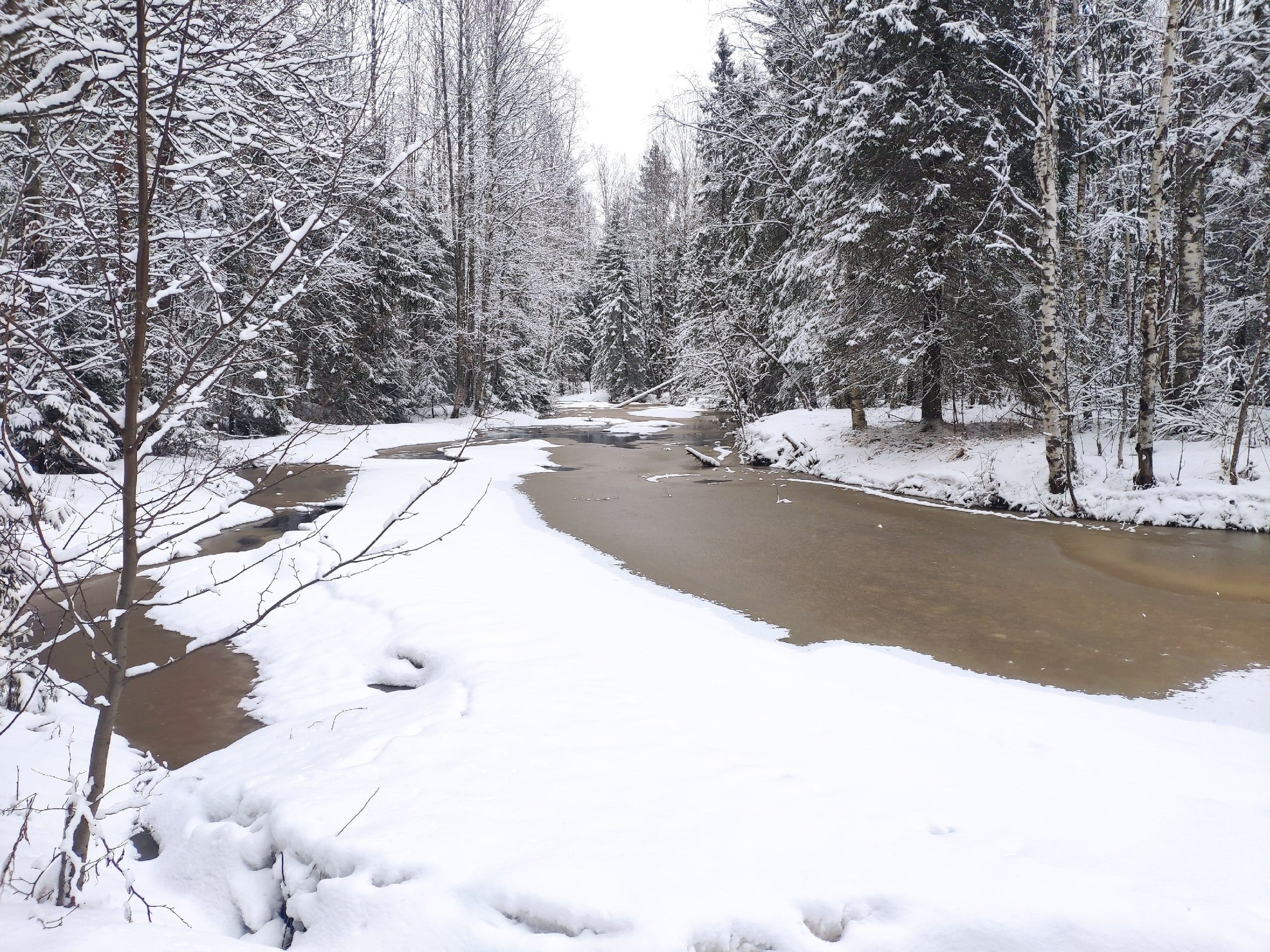 Мокрый снег и плюсовая температура: прогноз погоды на 31 января