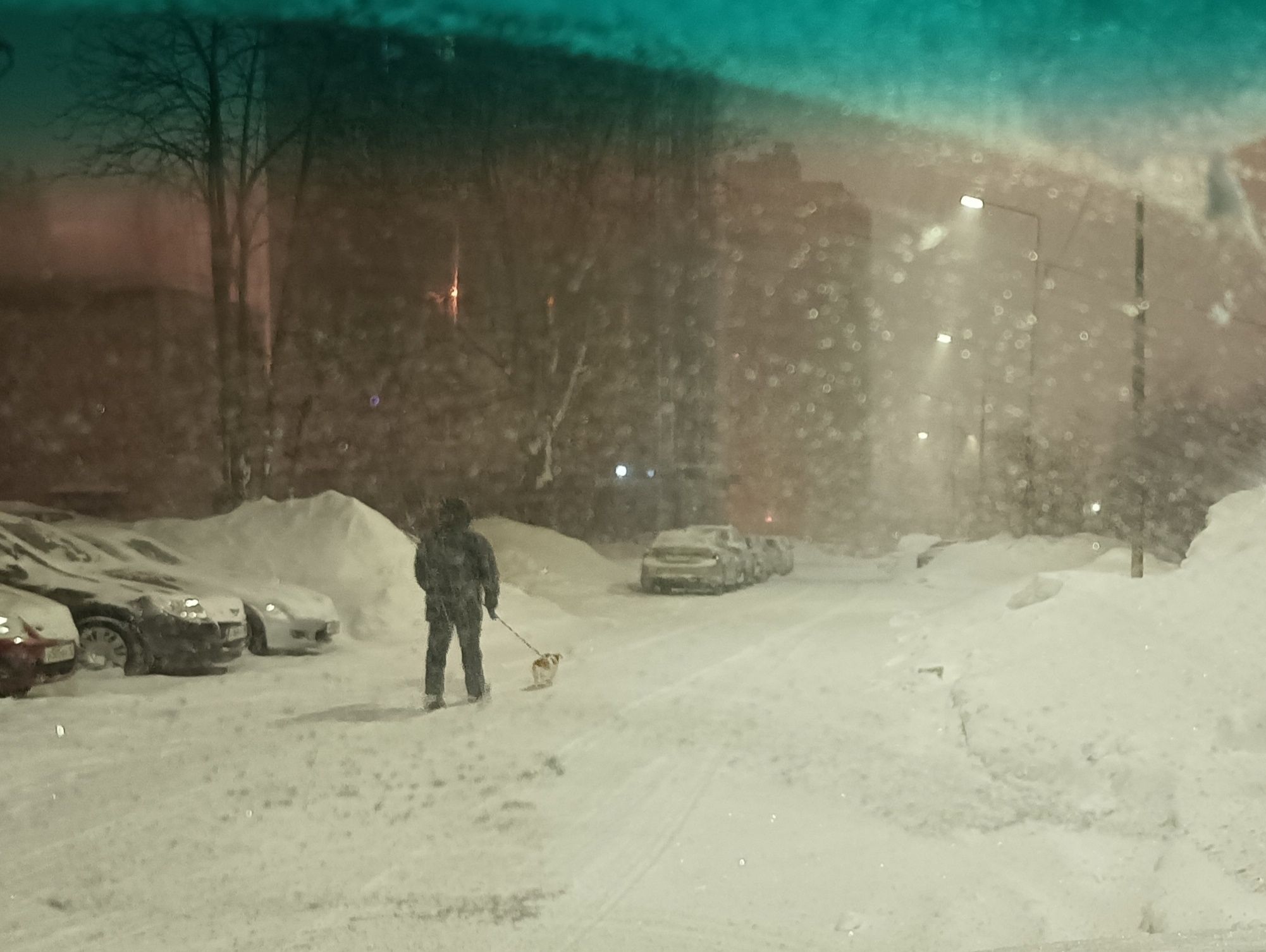 На Петрозаводск и южные районы Карелии ночью обрушится очередной снегопад