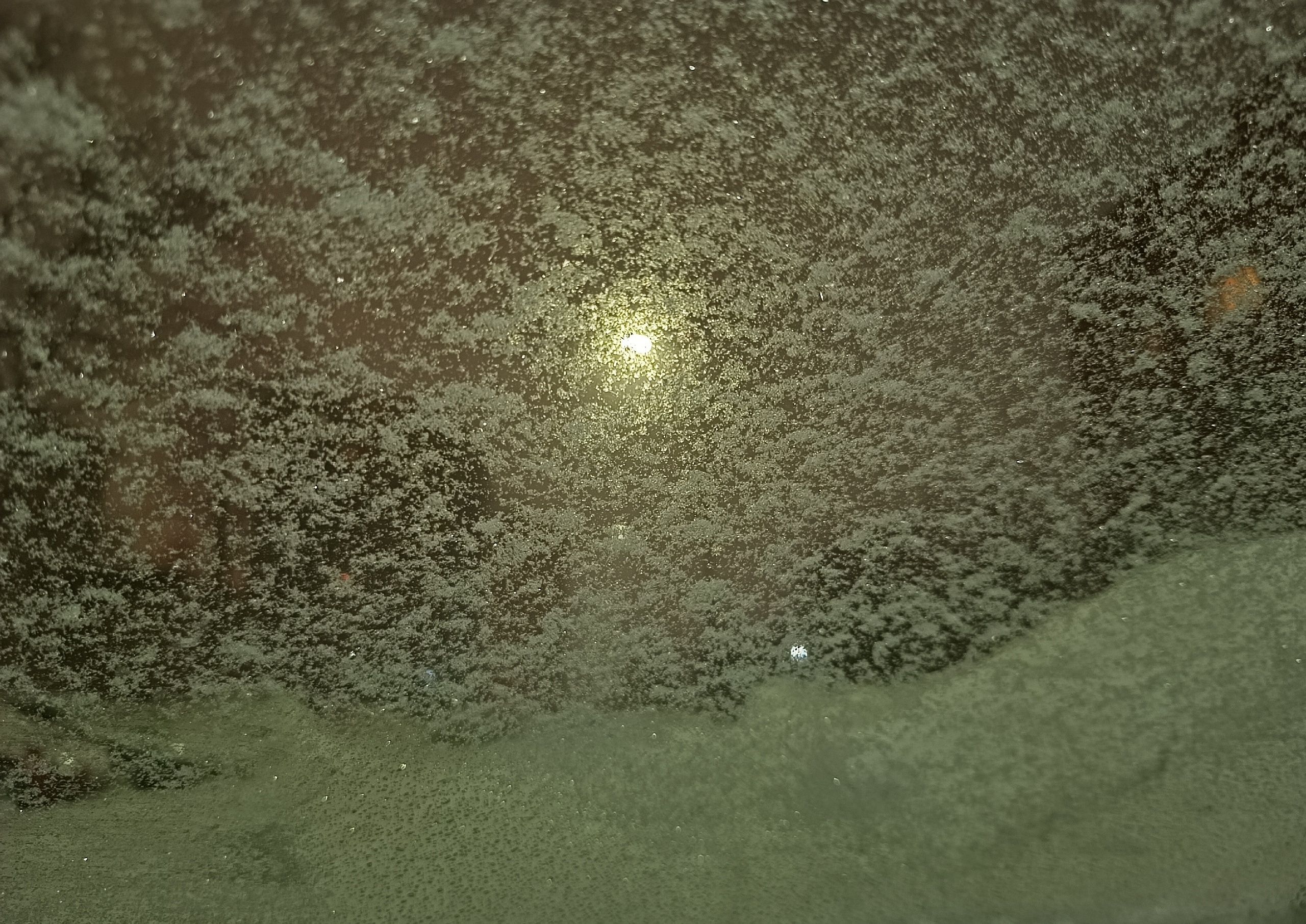 Суббота в Карелии будет снежной. Прогноз погоды на 25 января