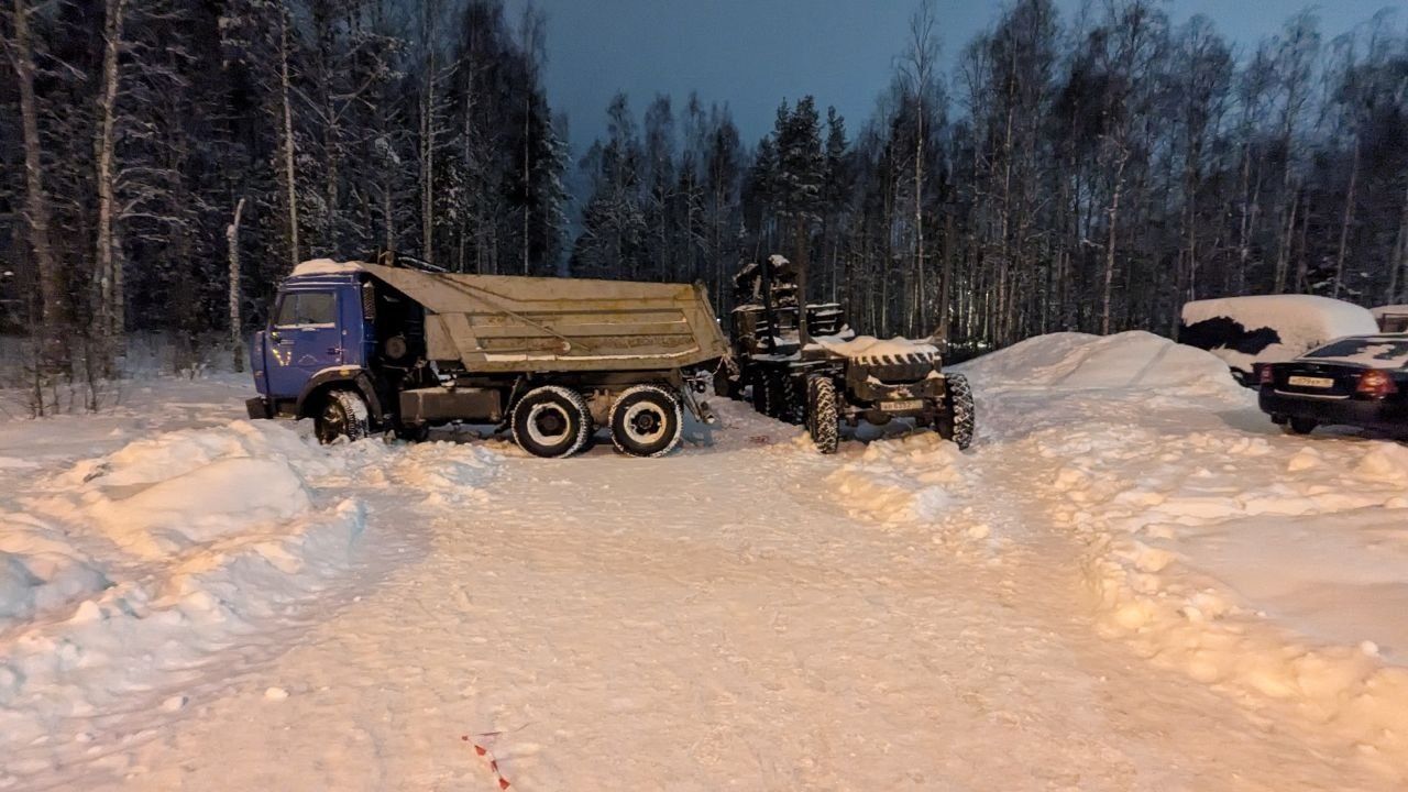 Стало известно, кто и зачем рубит лес от улицы Попова к Университетскому городку в Петрозаводске