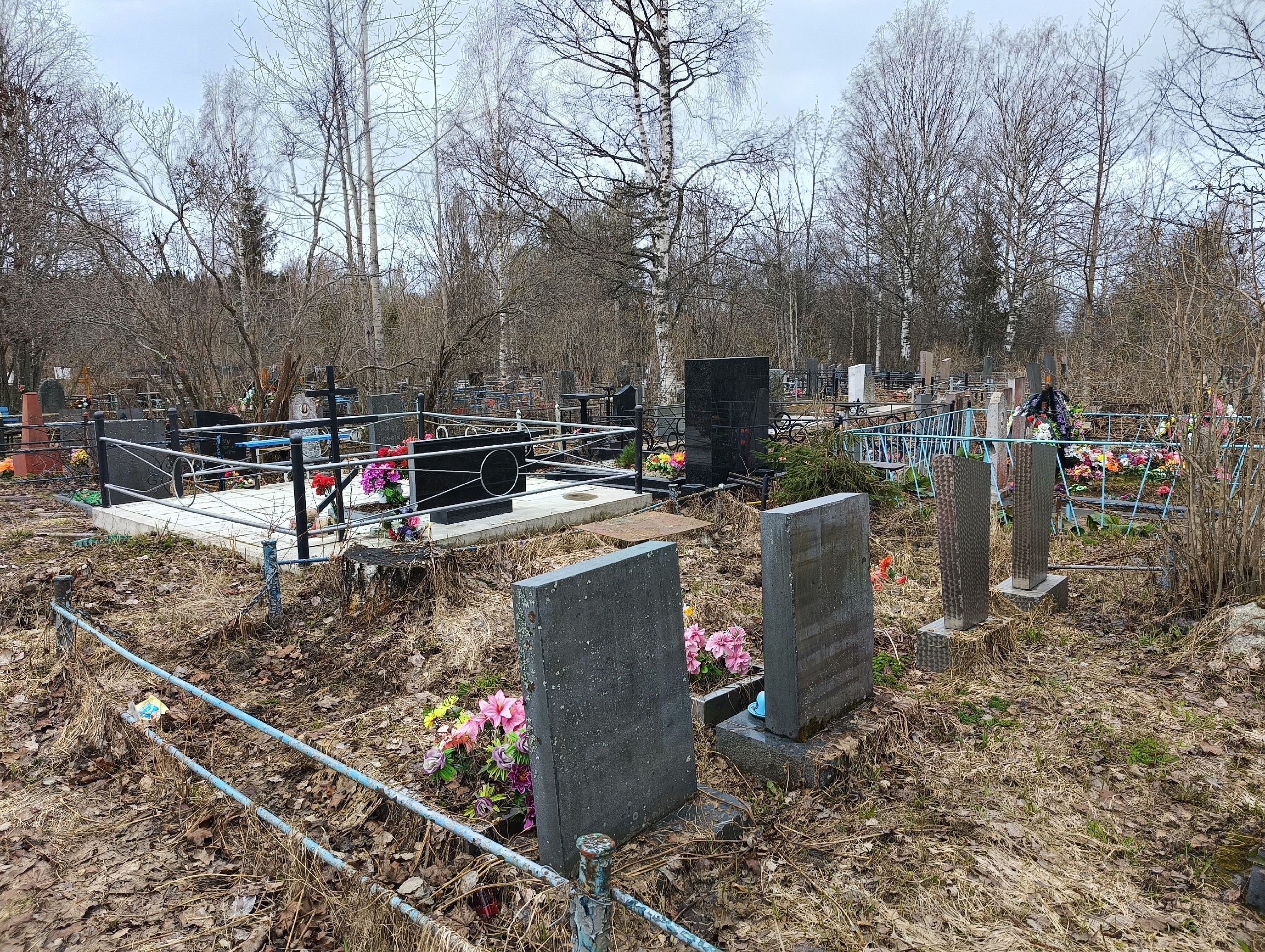 Похитителям надгробных памятников в Карелии продлили арест до весны Похитителям надгробных памятников в Карелии продлили арест до весны