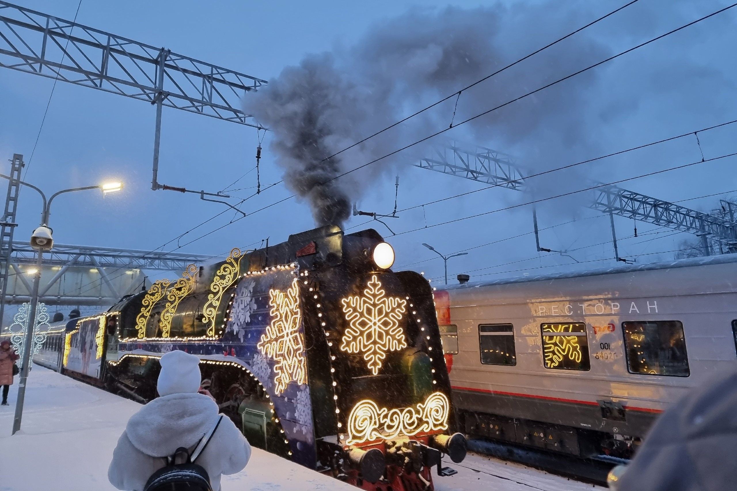 В Петрозаводск приехал поезд Деда Мороза