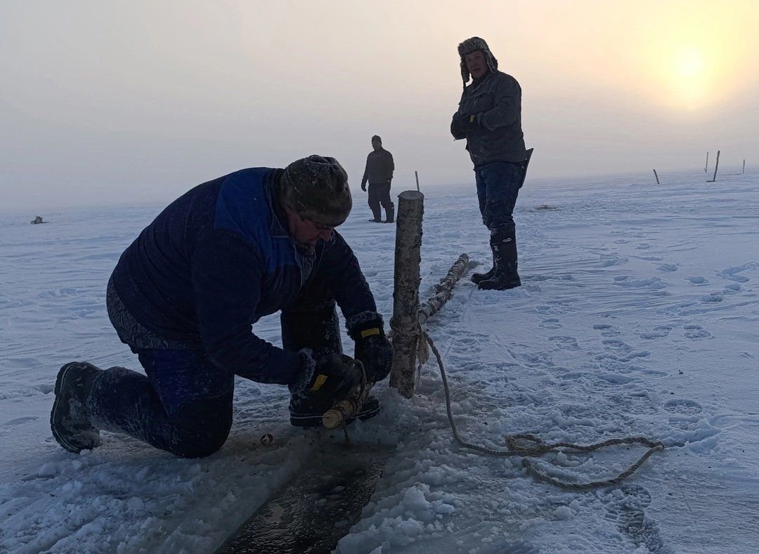Сезон ловли наваги начался на севере Карелии