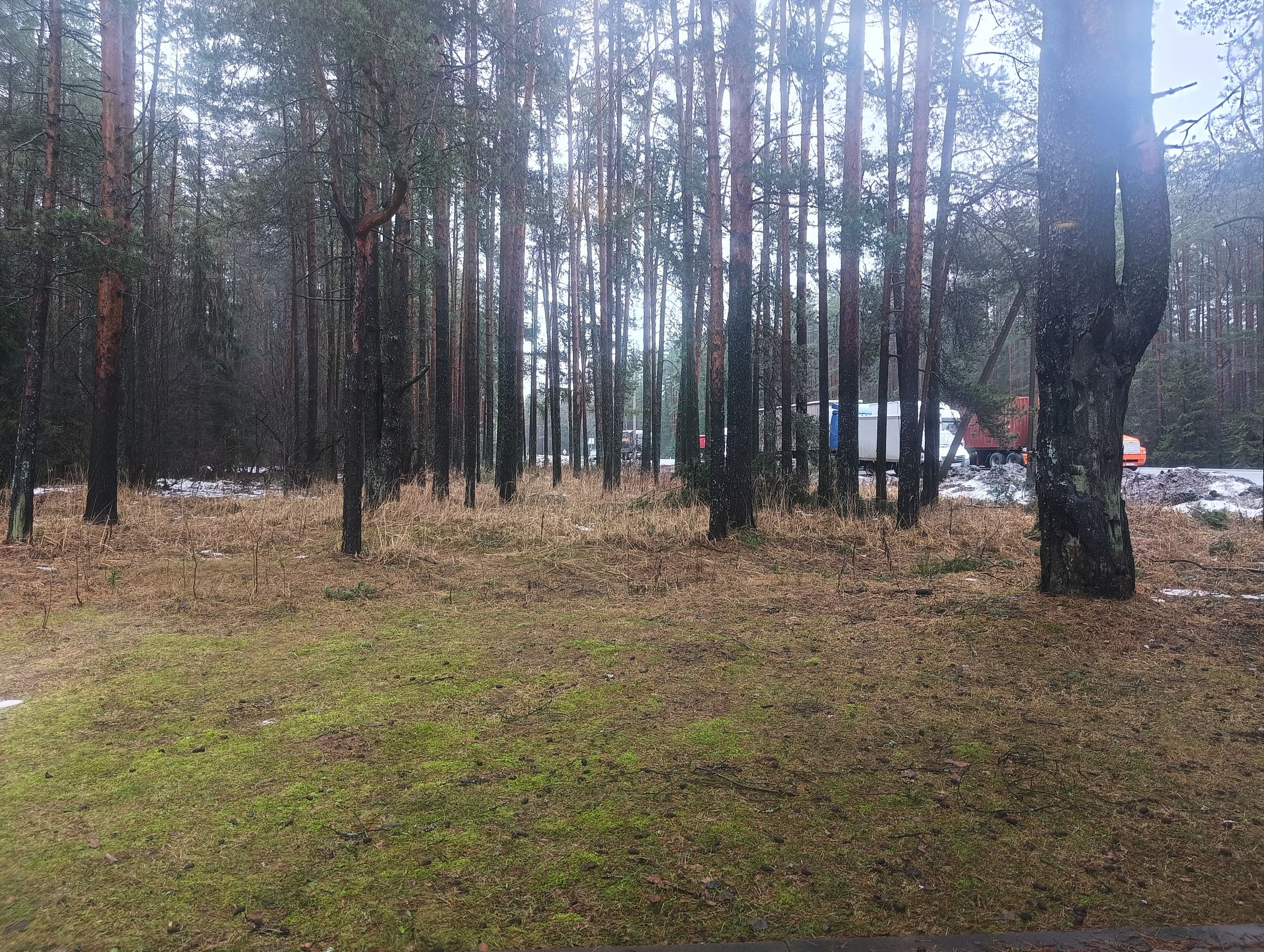 В Петербурге побиты три температурных рекорда