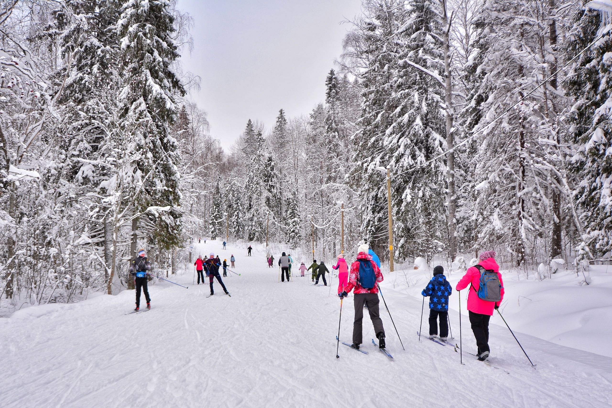 Всемирный день снега отметят на трассе Фонтаны в Петрозаводске