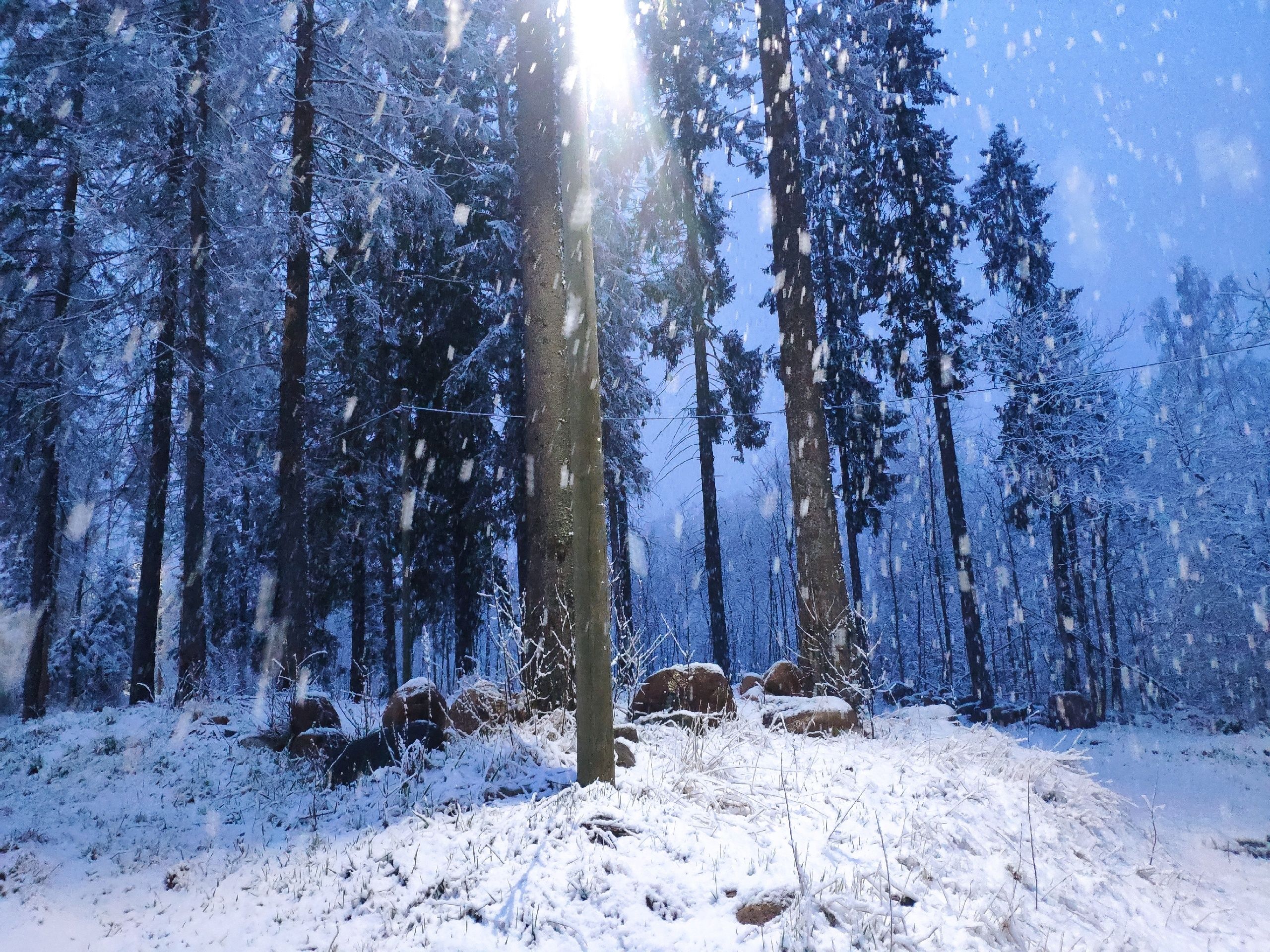 Сильный снегопад обрушится на Карелию