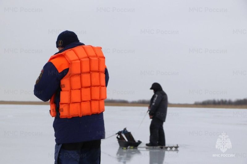 Двое рыбаков на санях провалились под лед и погибли в Финском заливе