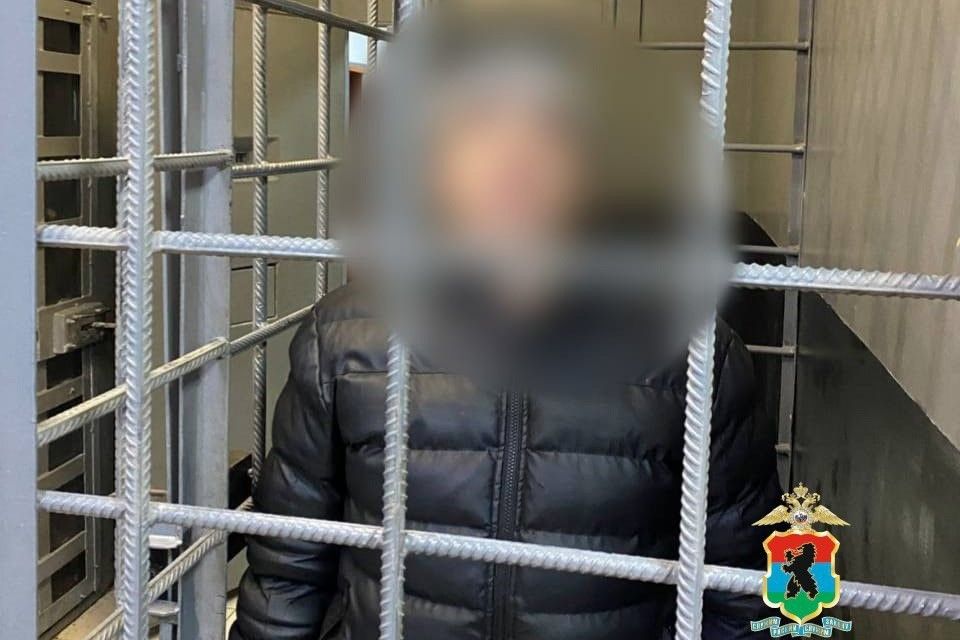 В Петрозаводске задержали водителя, который скрывался от погони по пешеходной лестнице