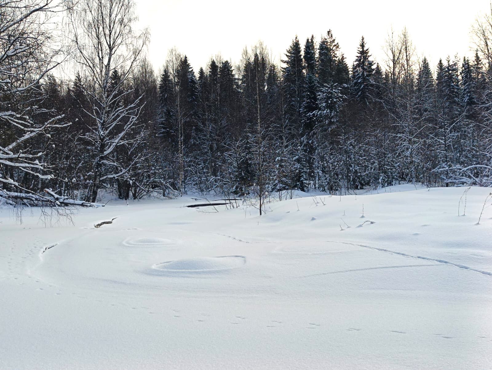 Местами до минус 25. Прогноз погоды в Карелии на 18 февраля