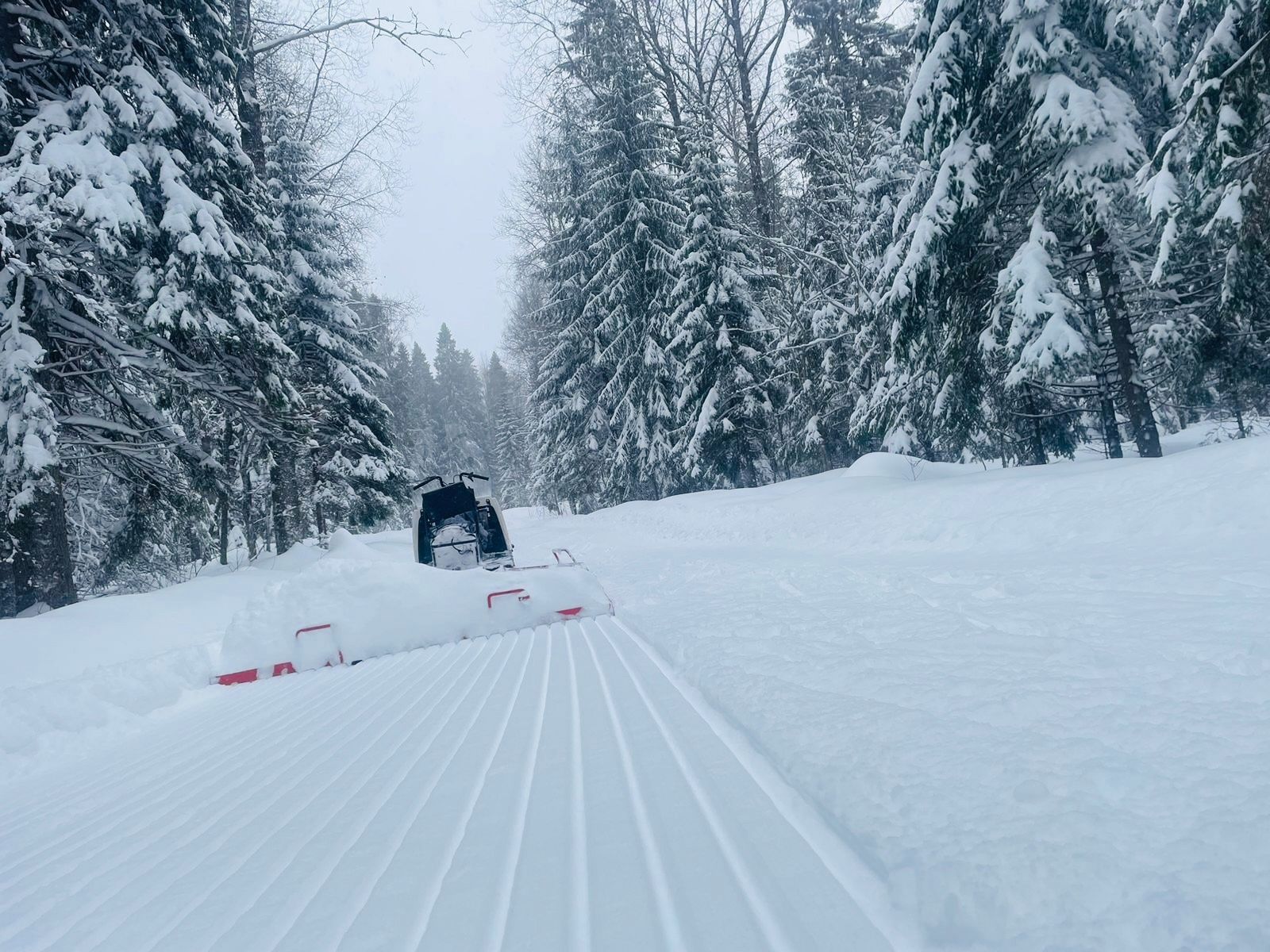 Организаторы Лыжного марафона в Петрозаводске приглашают протестировать трассу
