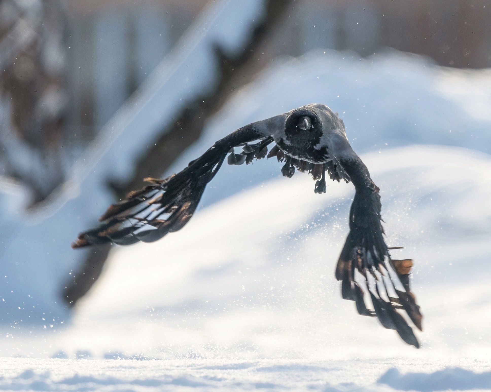 Небольшой снег, гололедица. Прогноз погоды на 12 февраля
