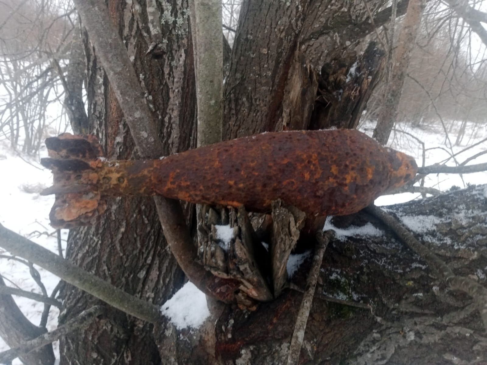 Неразорвавшийся минометный снаряд нашли рядом с карельским поселком
