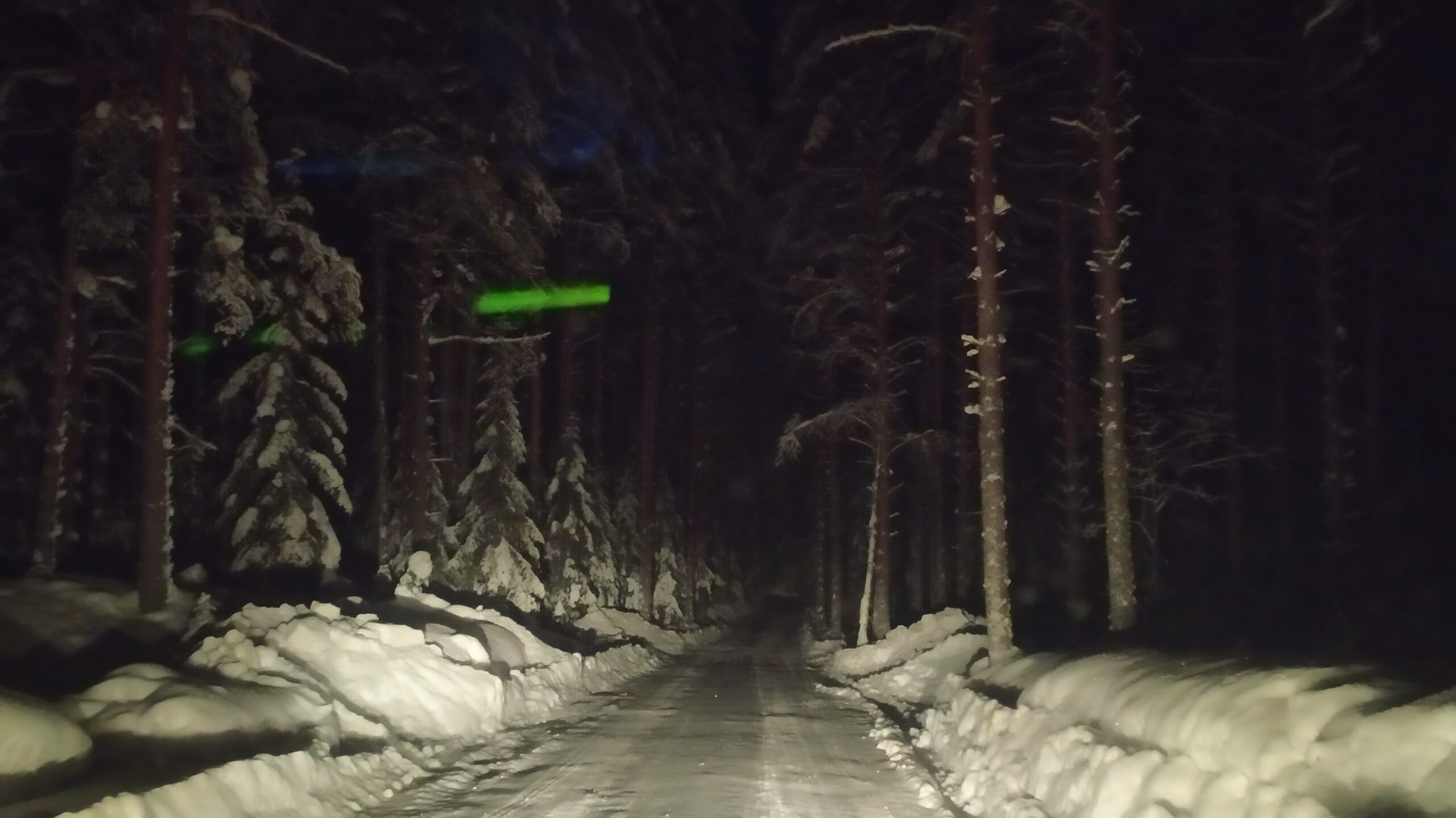 Пожарные в Прионежье спасли на трассе водителя и пассажира