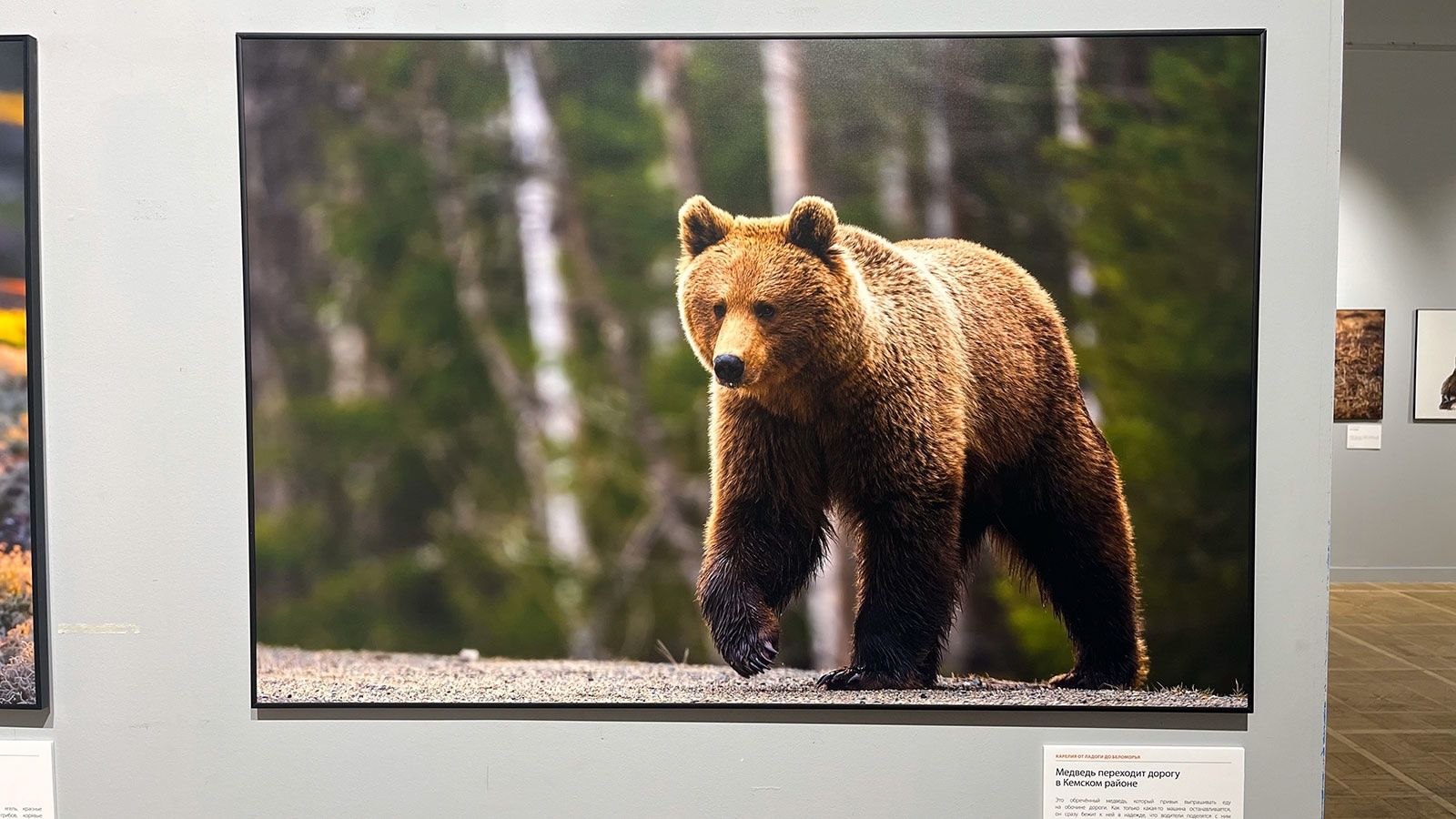 Фотографии карельской природы покорили Москву
