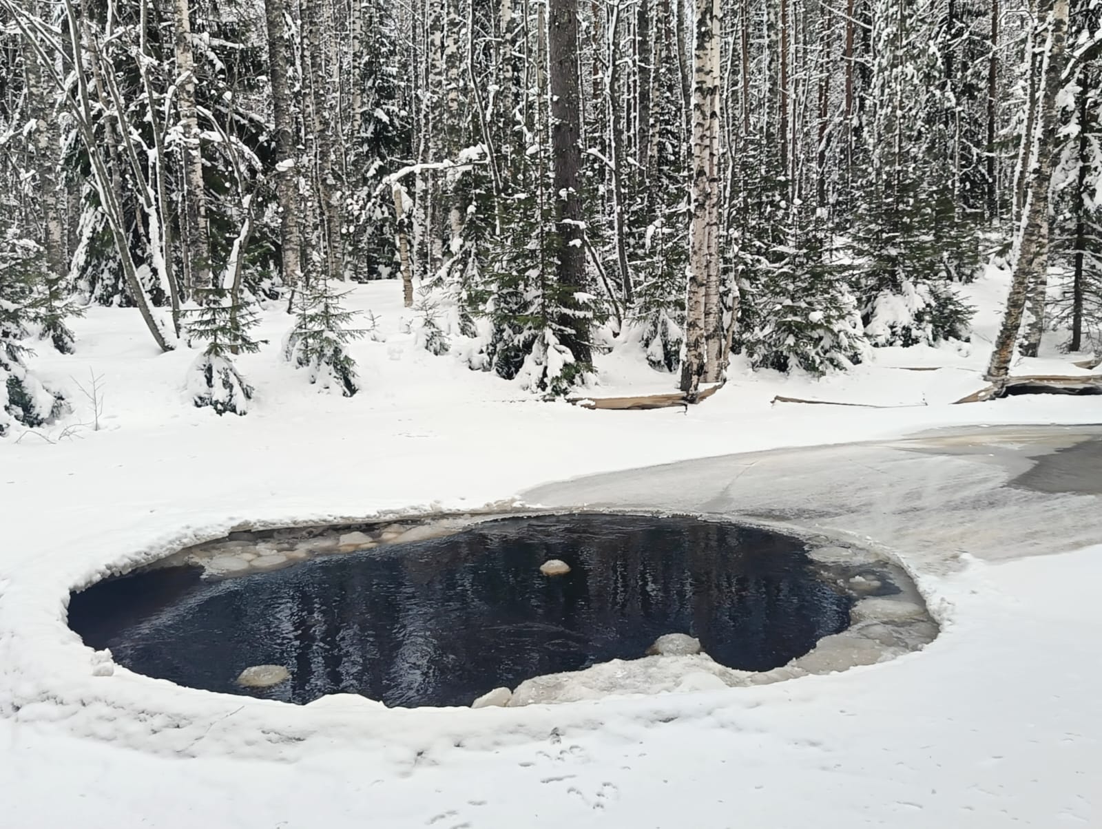 Местами до минус 14. Прогноз погоды в Карелии на 10 февраля