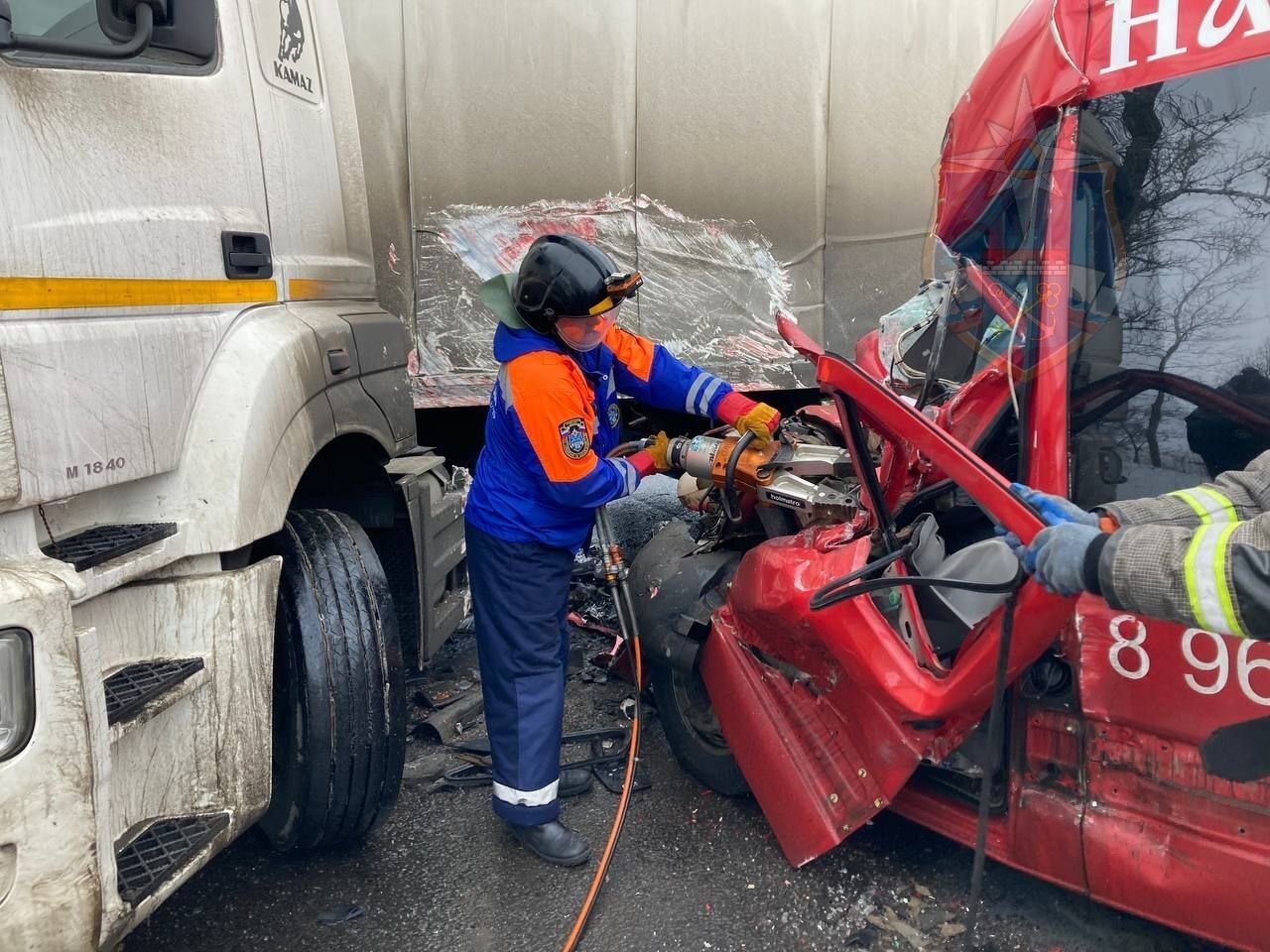 Пострадали 15 человек: стали известны новые подробности ДТП на «Коле»