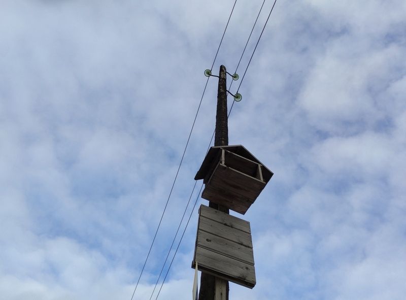 В Карелии собирают подписи против грабительских тарифов на электроэнергию