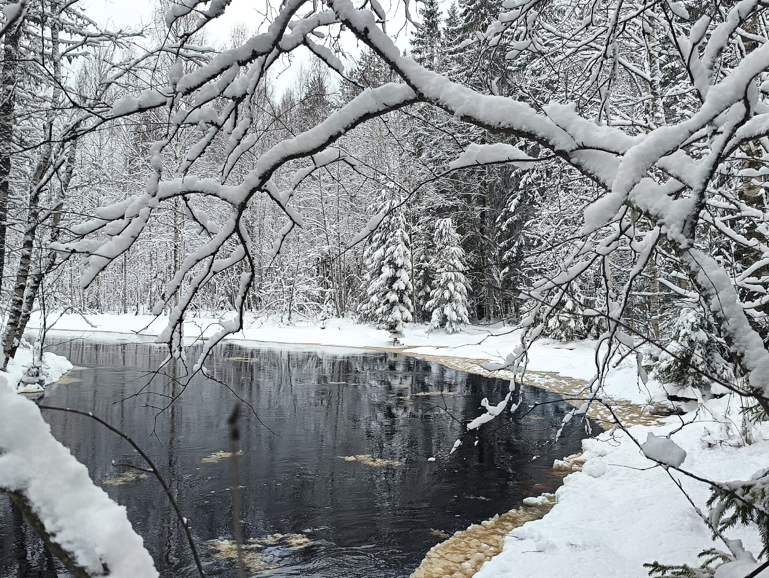Местами до -13°С. Прогноз погоды на 7 февраля