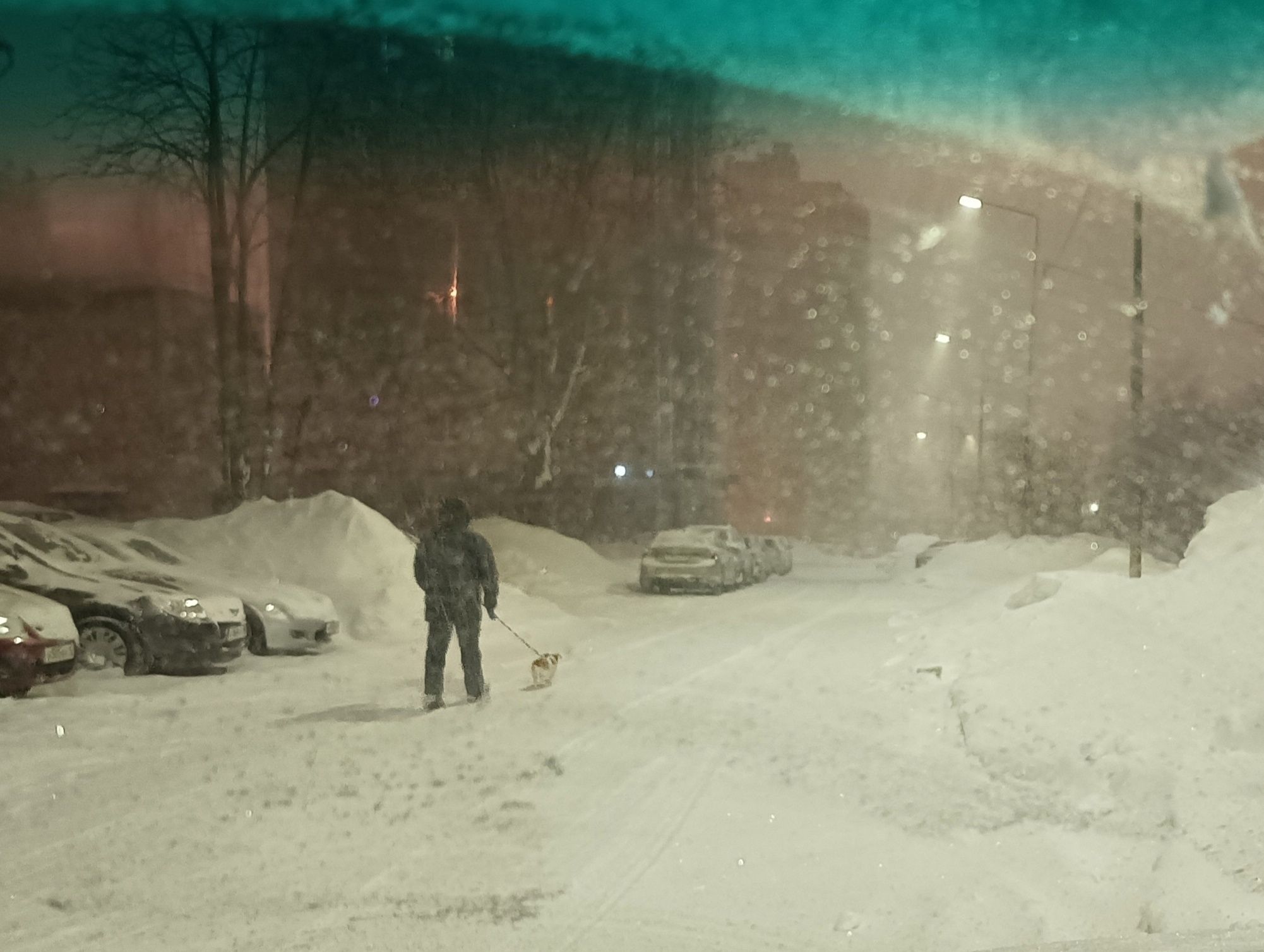 Снег и метель: прогноз погоды на 2 февраля