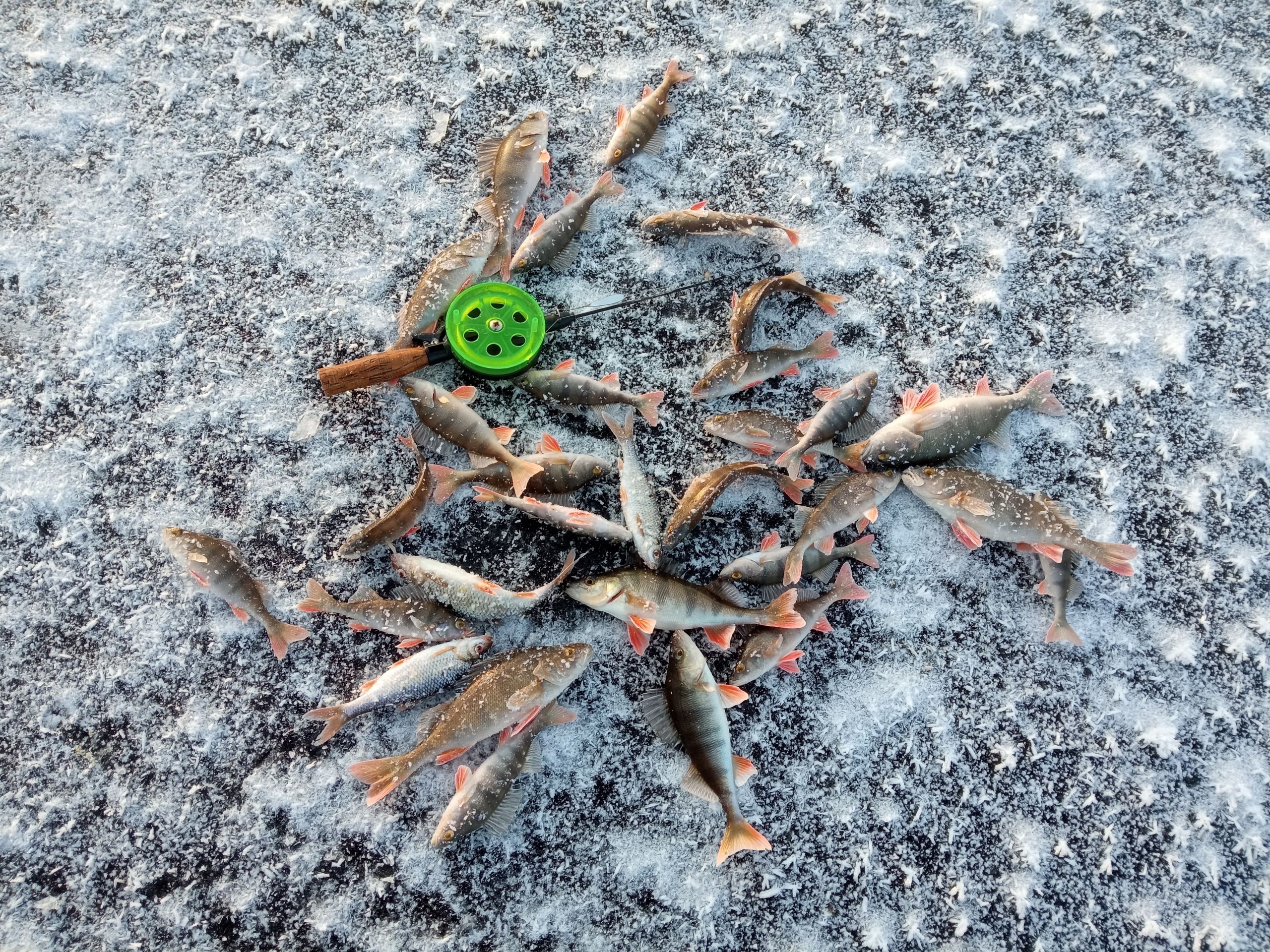 Отличная погода для рыбалки. Прогноз погоды в Карелии на 8 февраля