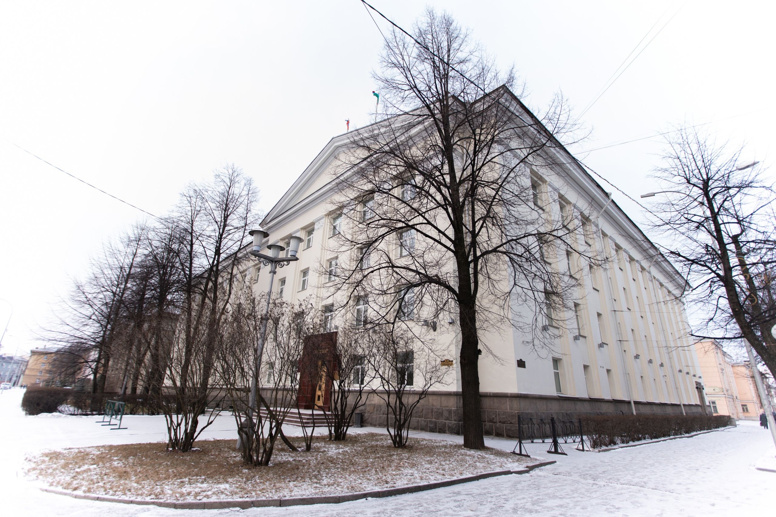 Липу с крупной трещиной обнаружили возле Заксобрания в Петрозаводске