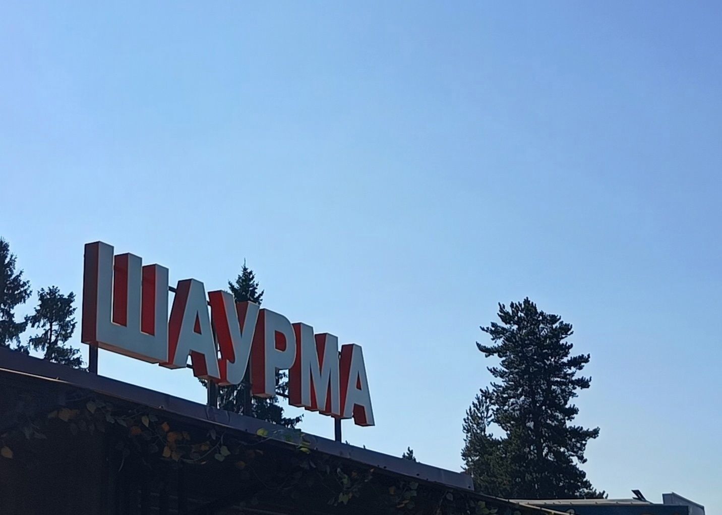 В ларьке с шаурмой в Петрозаводске нашли многочисленные нарушения