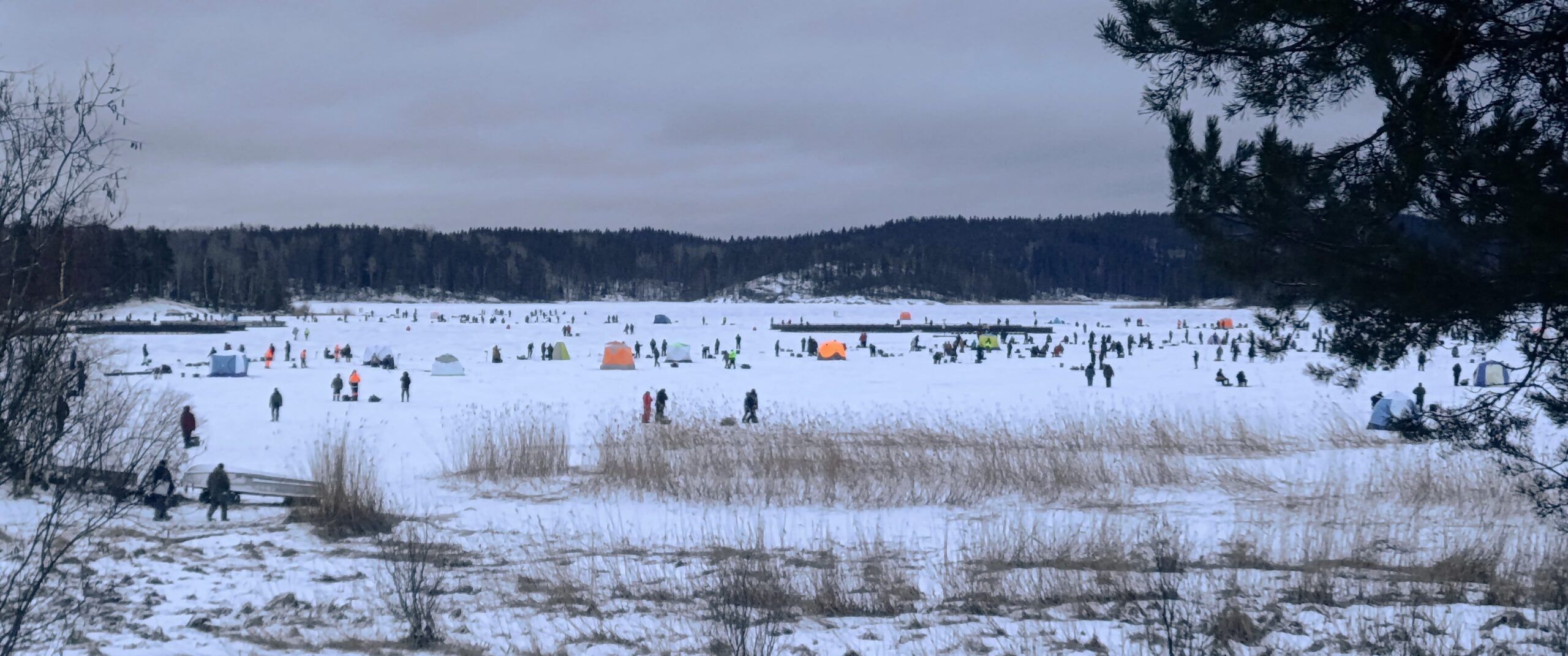 Ущерб хозяйства в Карелии, где сбежала форель, оценивается в 30 миллионов рублей