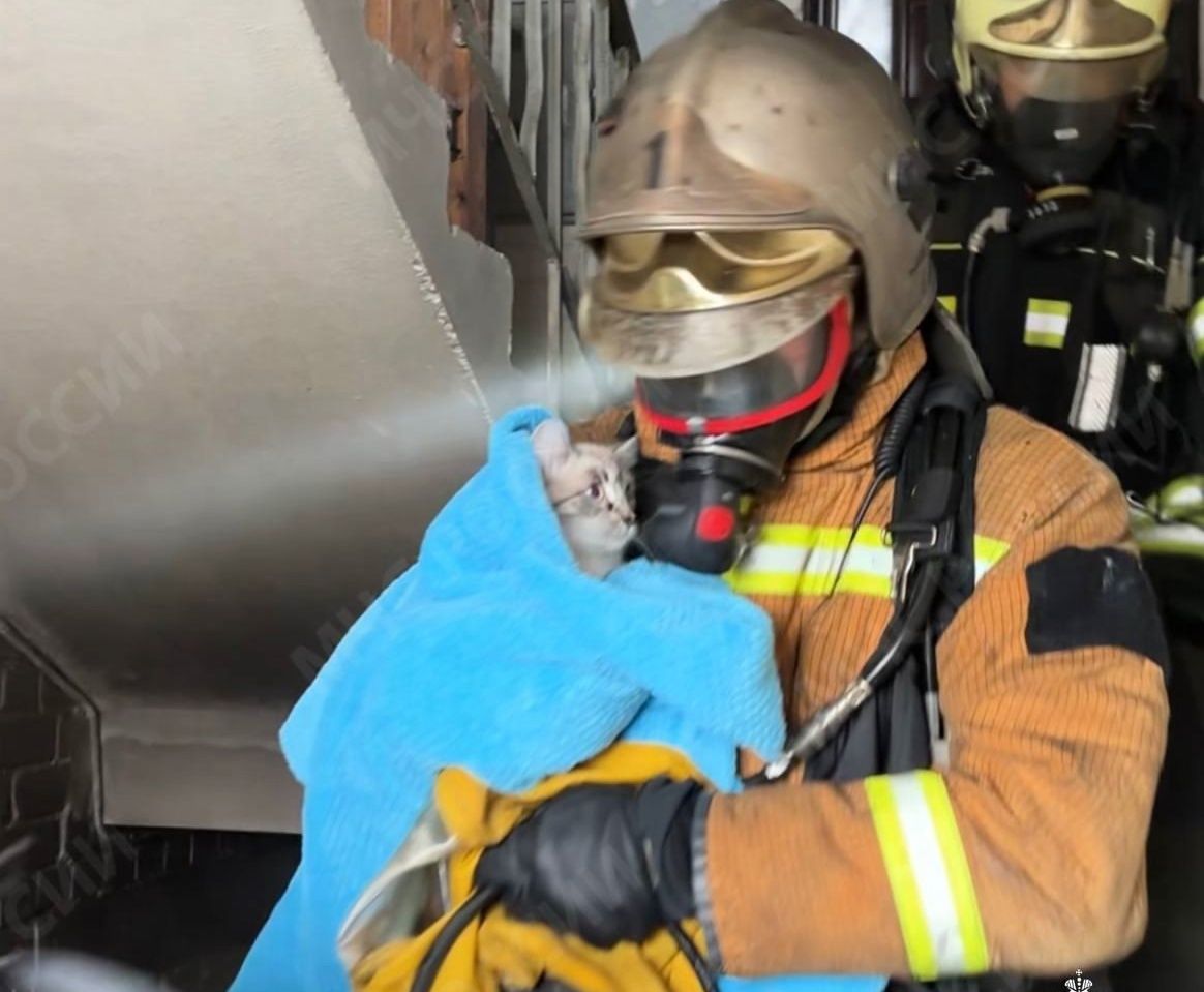 В Петрозаводске на пожаре в жилом доме спасли восемь человек и кошку