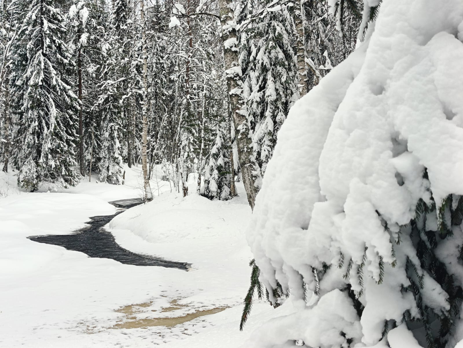 Преимущественно без осадков. Прогноз погоды в Карелии на 9 февраля